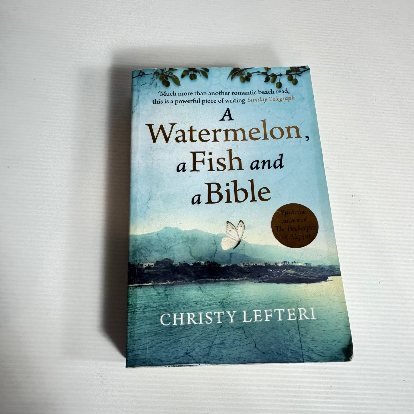 A Watermelon, A Fish and A Bible - Christy Lefteri