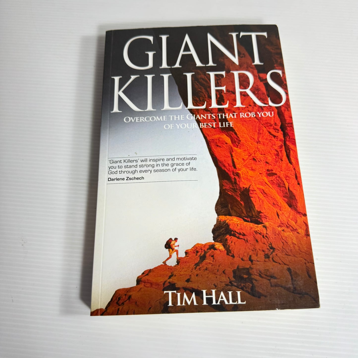 Giant Killers : Overcome The Giants That Rob You Of Your Best Life - Tim Hall