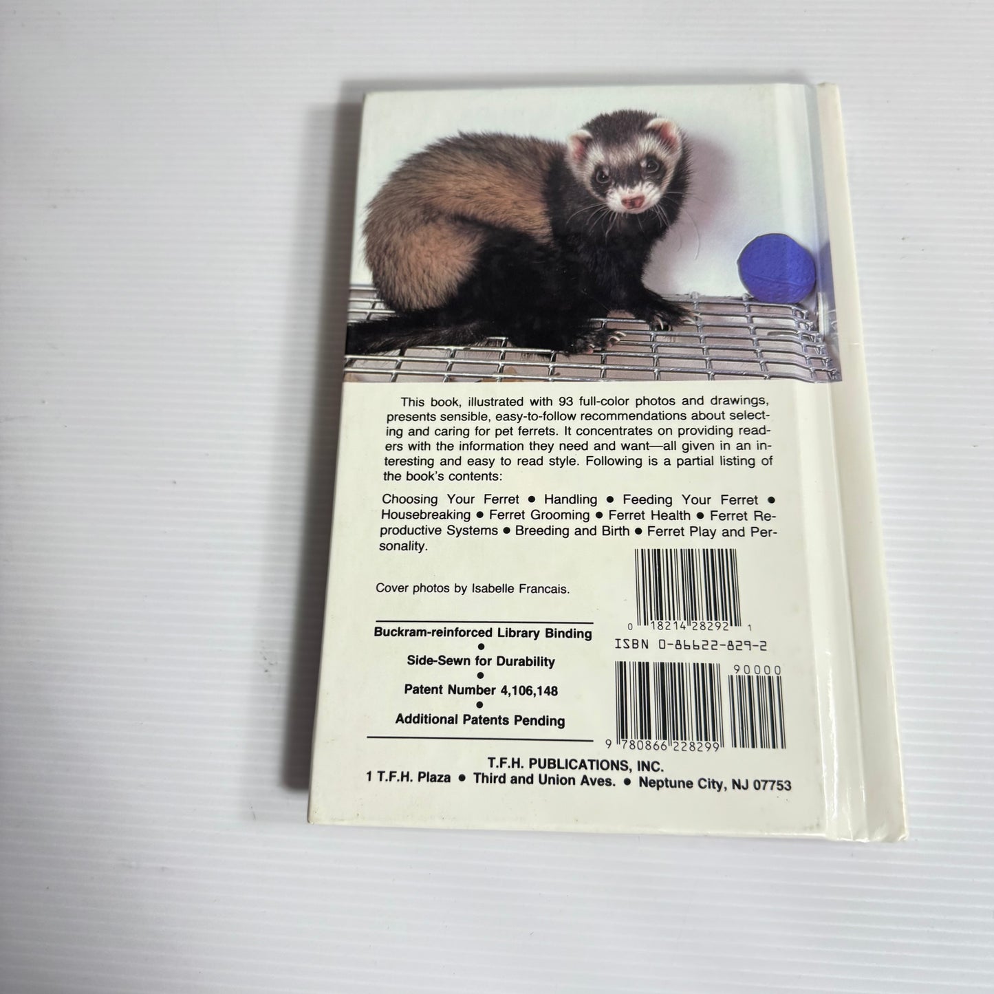Ferrets - Wendy Winsted (1989)