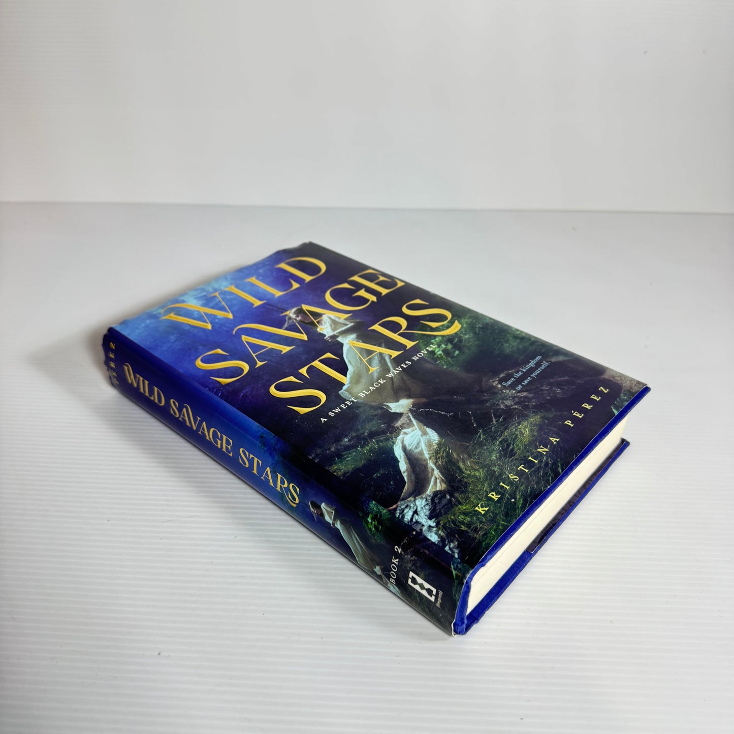 Wild Savage Stars : A Sweet Black Waves Novel - Kristina Perez