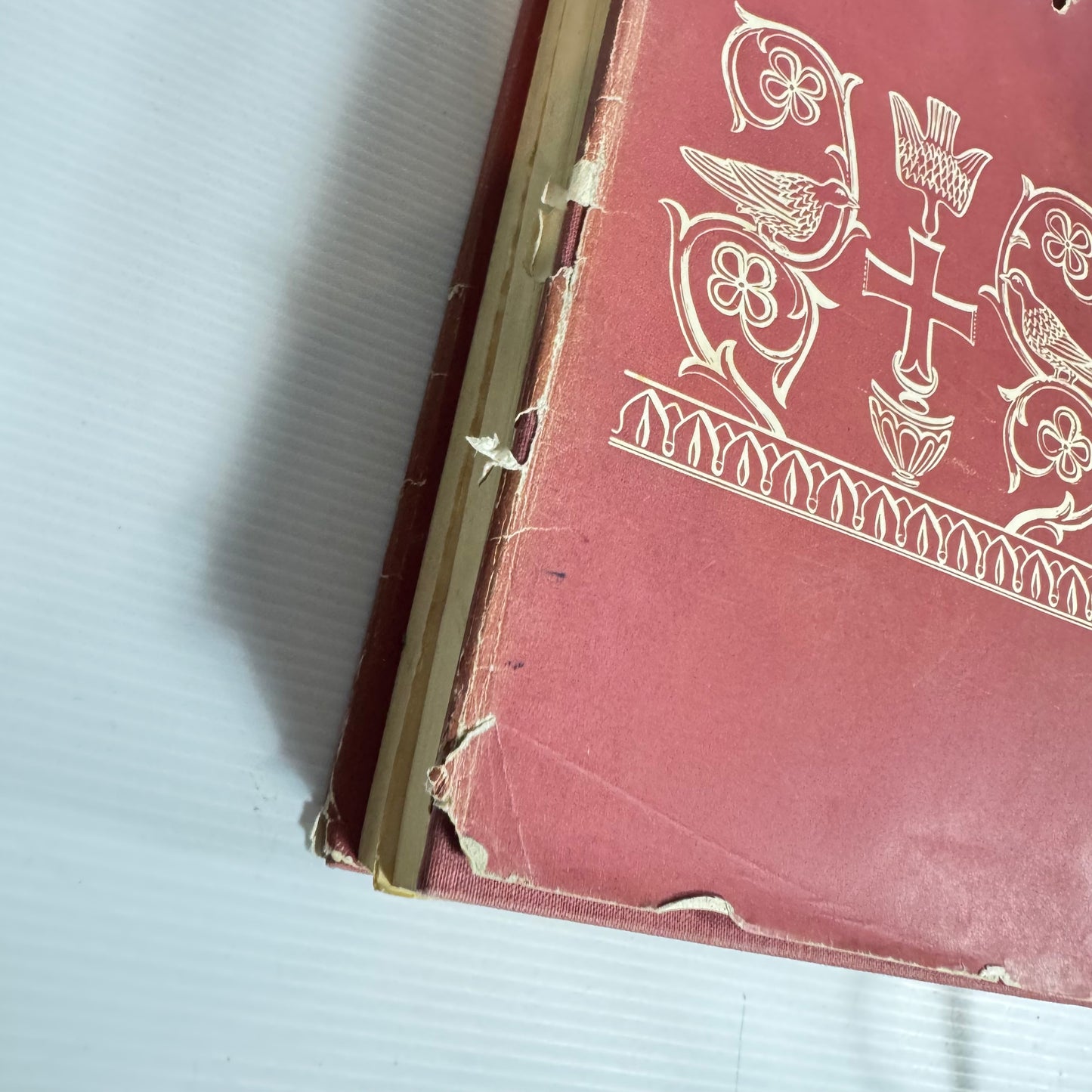 The Holy Bible : Translated from the Latin Vulgate in the Light of the Hebrew and Greek by Ronald Knox (Vintage 1965 Fifth Edition)