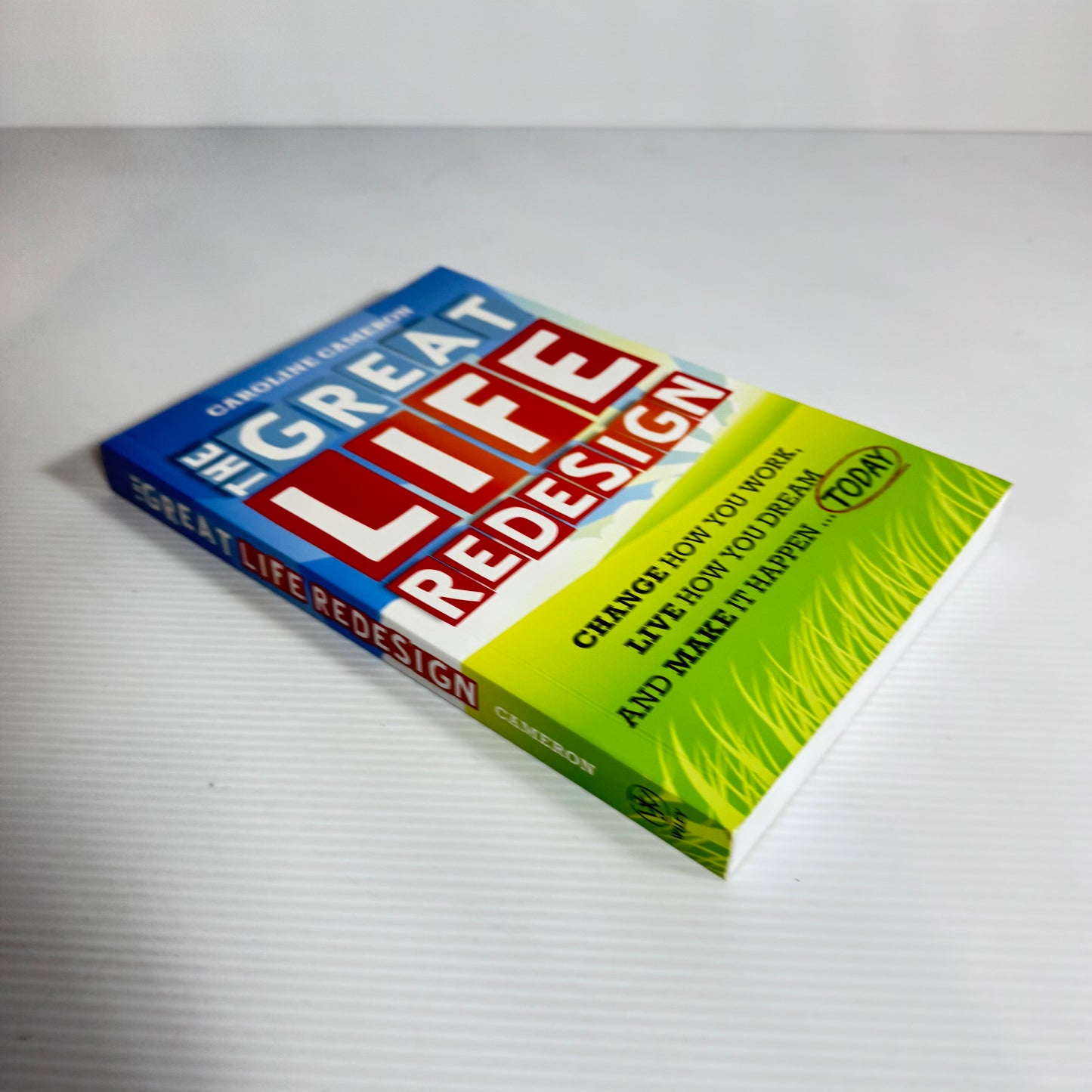 The Great Life Redesign : Change How You Work, Live How You Dream and Make It Happen Today - Caroline Cameron