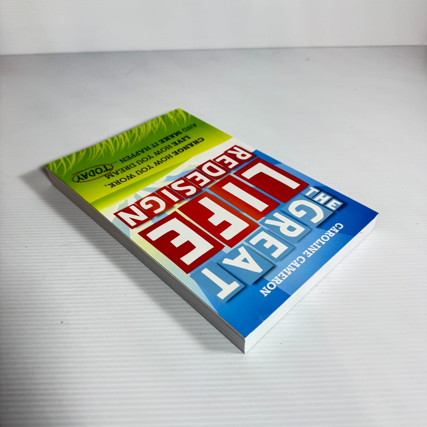 The Great Life Redesign : Change How You Work, Live How You Dream and Make It Happen Today - Caroline Cameron