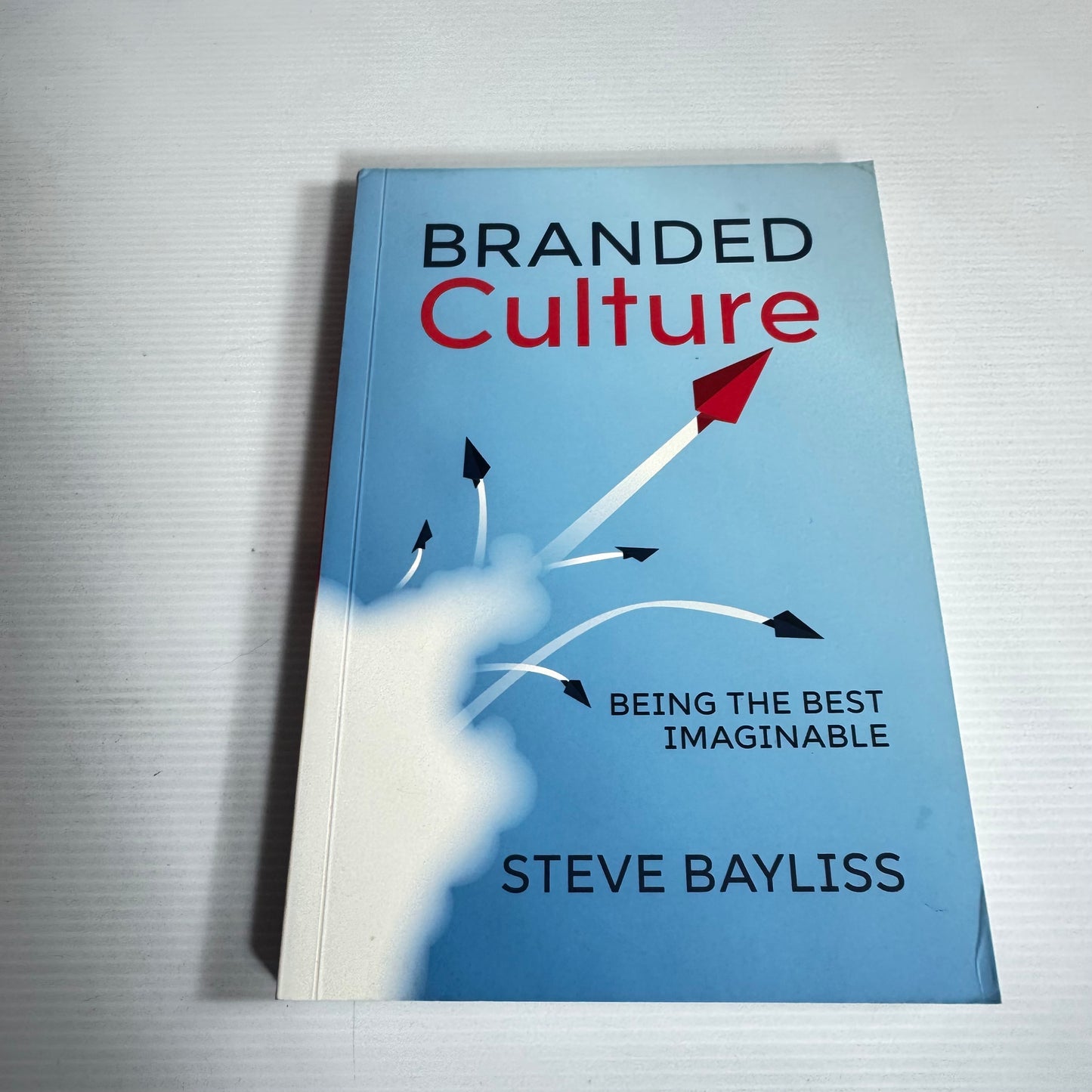 Branded Culture : Being The Best Imaginable - Steve Bayliss
