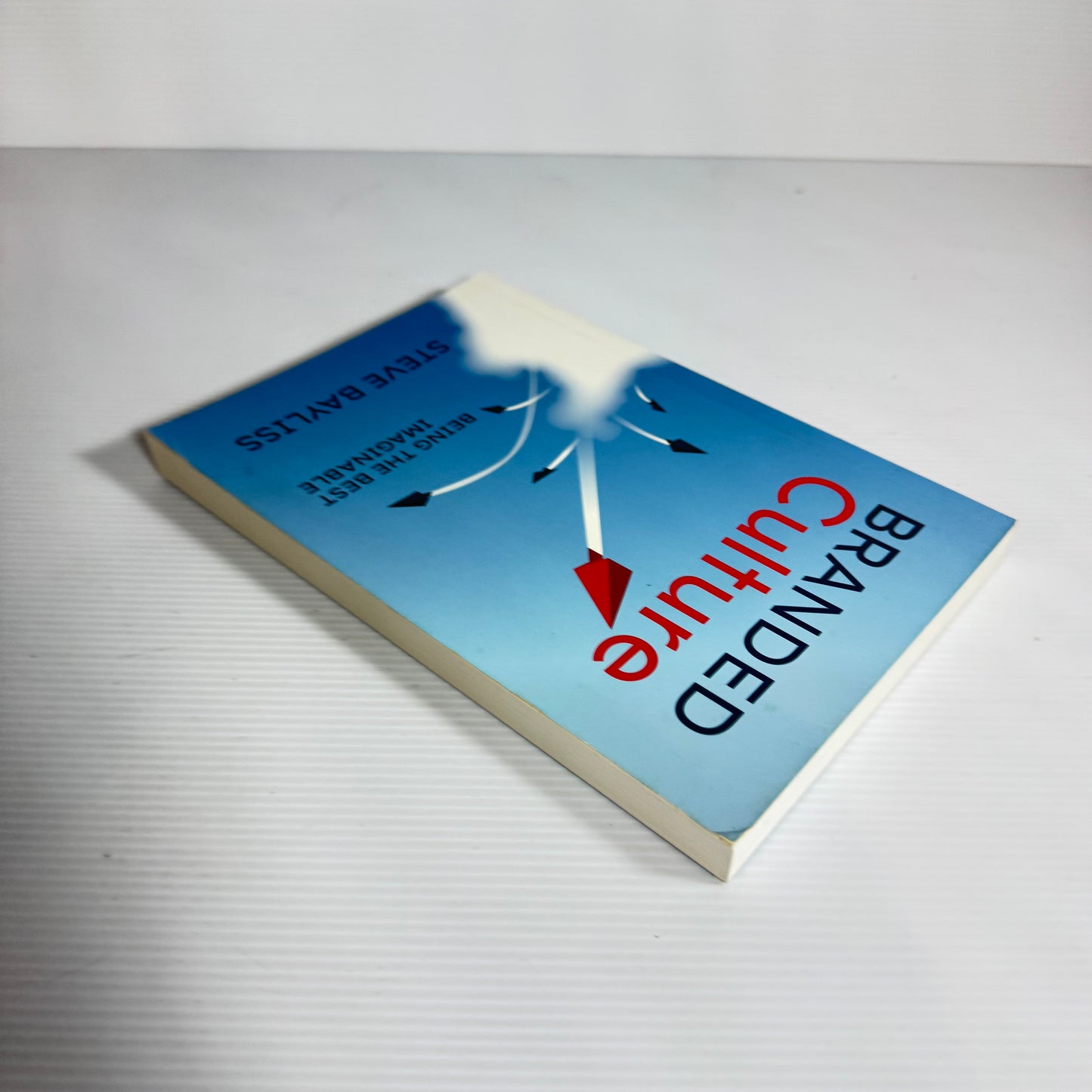 Branded Culture : Being The Best Imaginable - Steve Bayliss