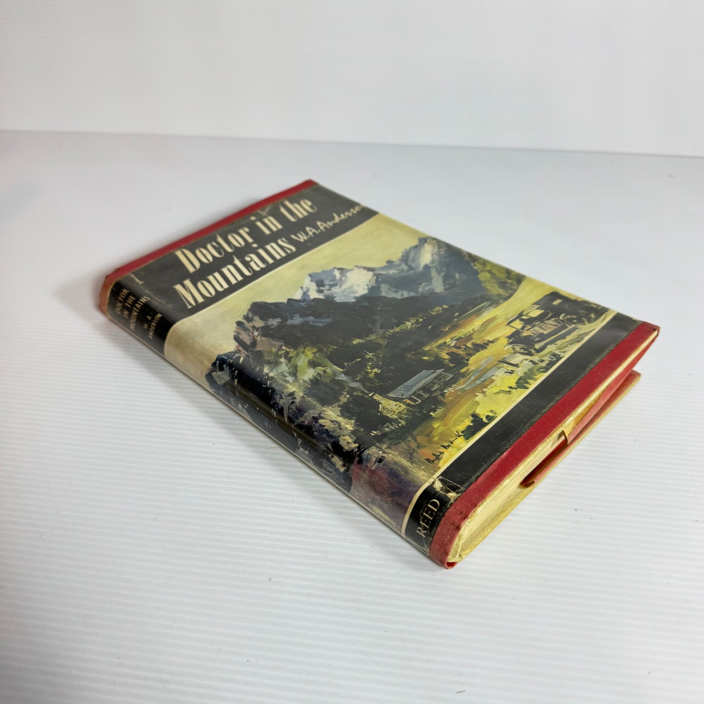 Doctor In The Mountains - W.A. Anderson (Vintage 1964)