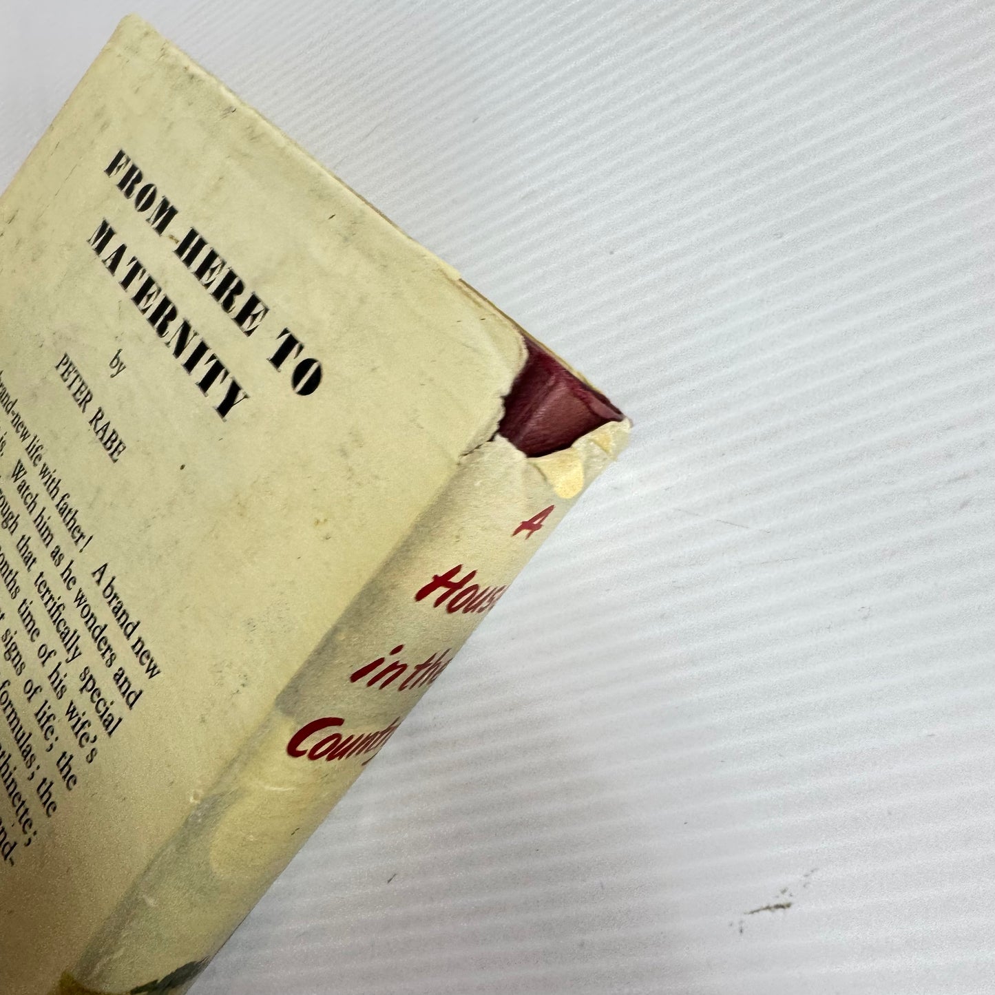 A House In The Country - Ruth Adam (Vintage 1963 First Edition)
