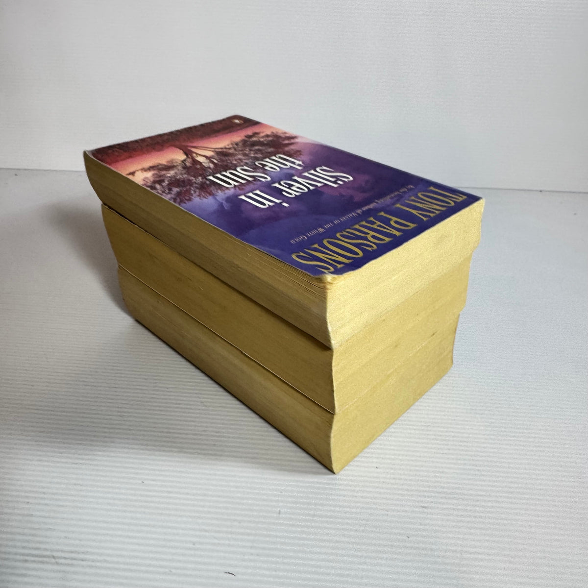 Family Saga Bundle x 3 : Silver in the Sun - Tony Parsons, The Last Hero - Peter Forbath, Mademoiselle - Merle Jones (3377)