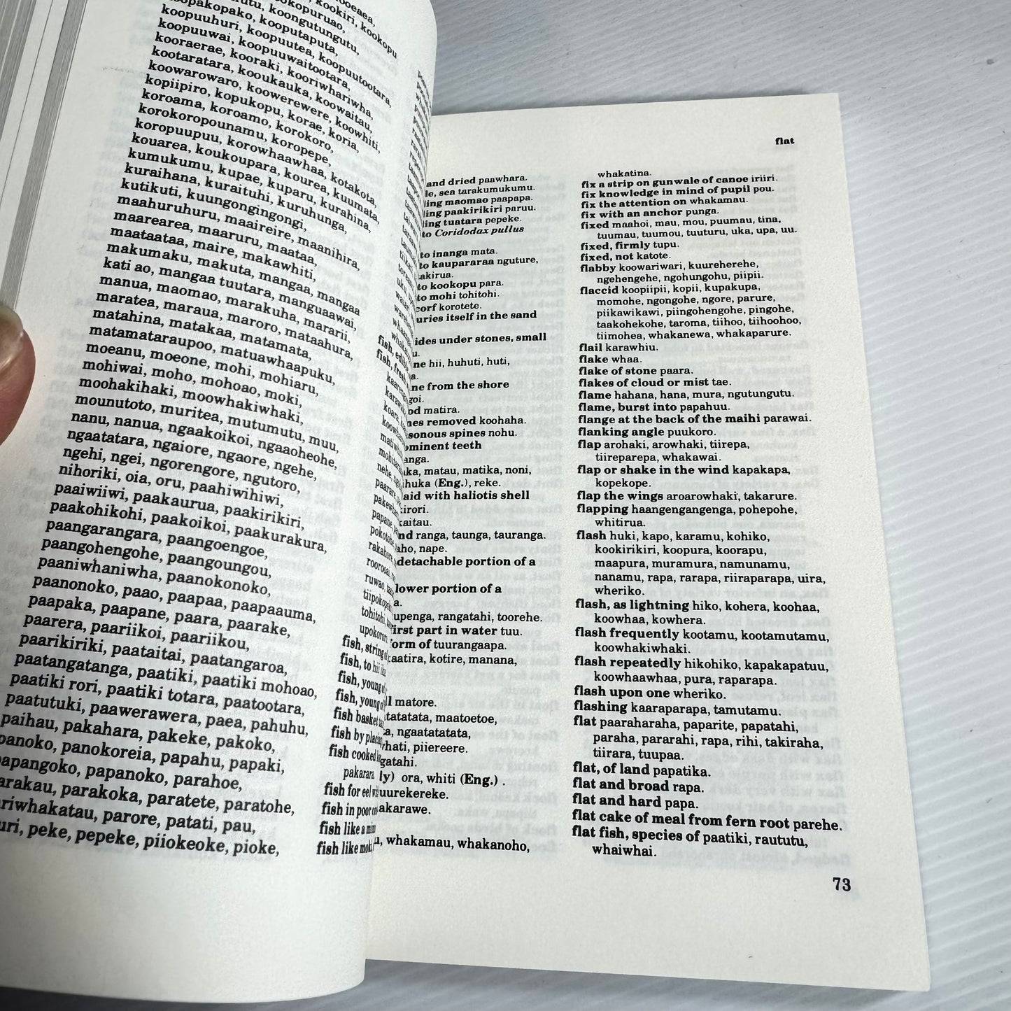 The Complete English-Māori Dictionary - Bruce Biggs