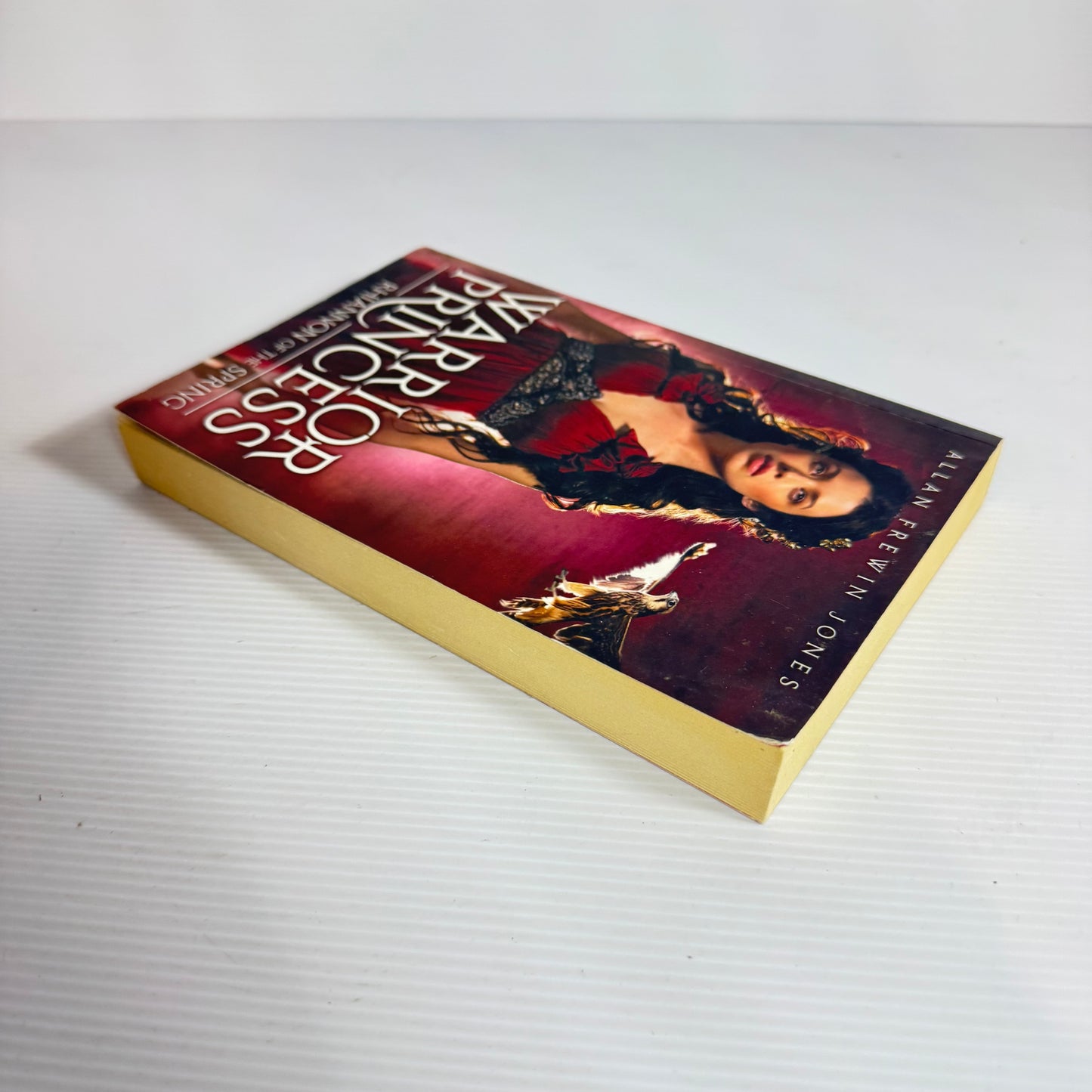 Warrior Princess: Rhiannon of the Spring - Allan Frewin Jones