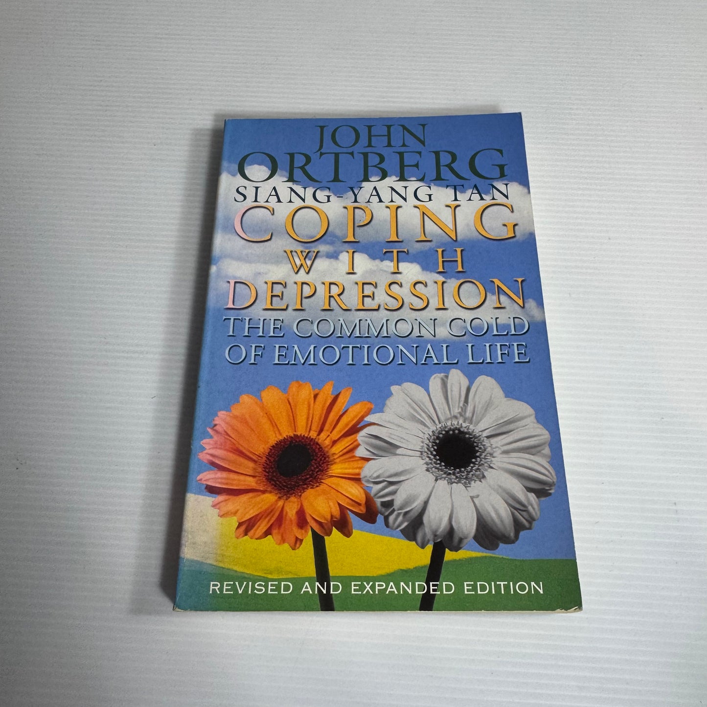 Coping With Depression : The Common Cold of Emotional Life - John Ortberg & Siang-Yang Tan