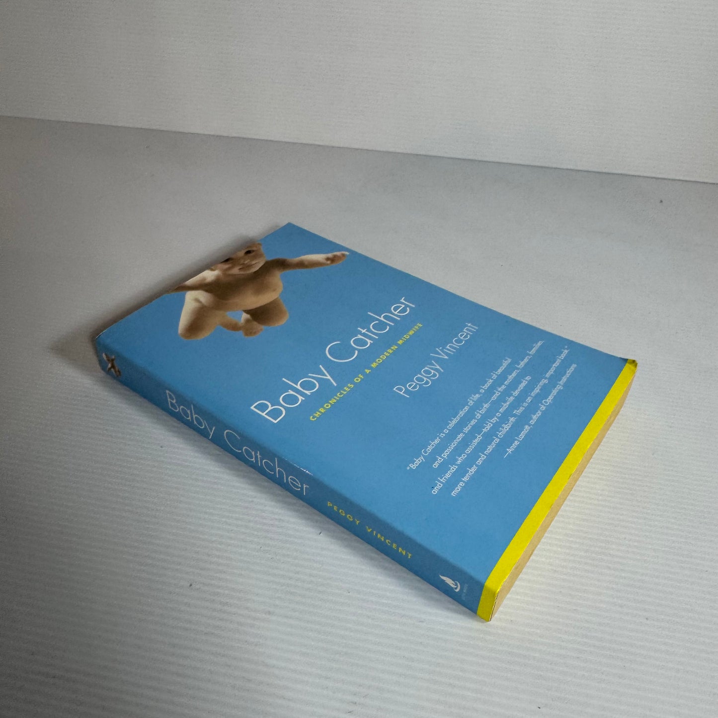 Baby Catcher : Chronicles of a Modern Midwife - Peggy Vincent