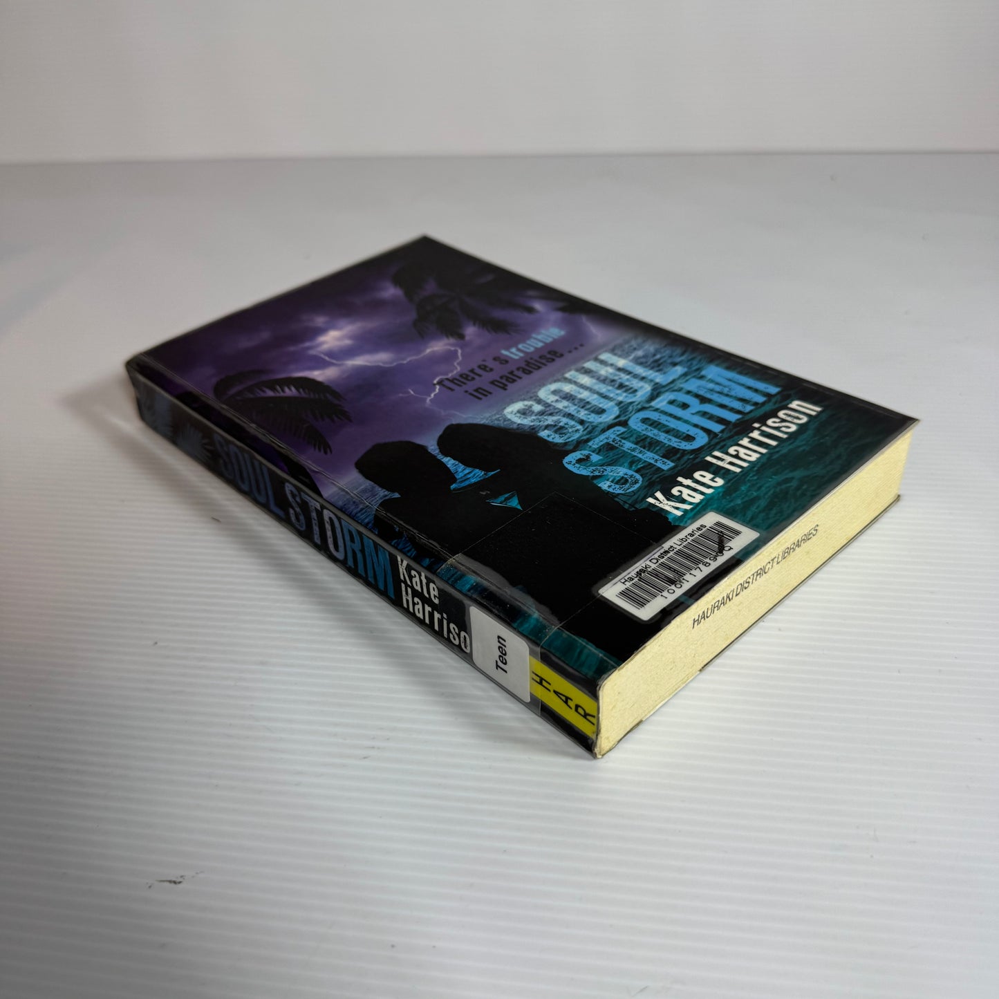 Soul Storm - Kate Harrison