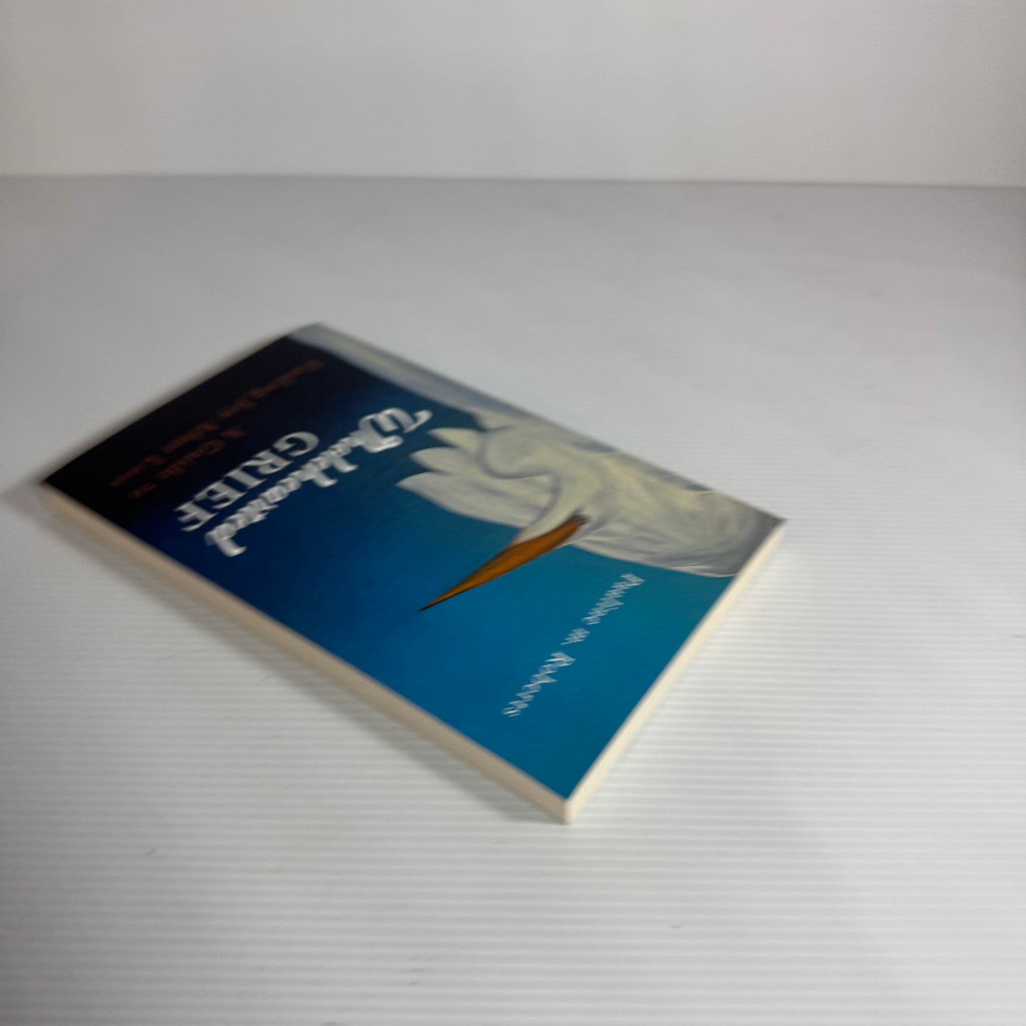 Wholehearted Grief : A Guide to Finding Joy After Loss - Pauline M. Roberts