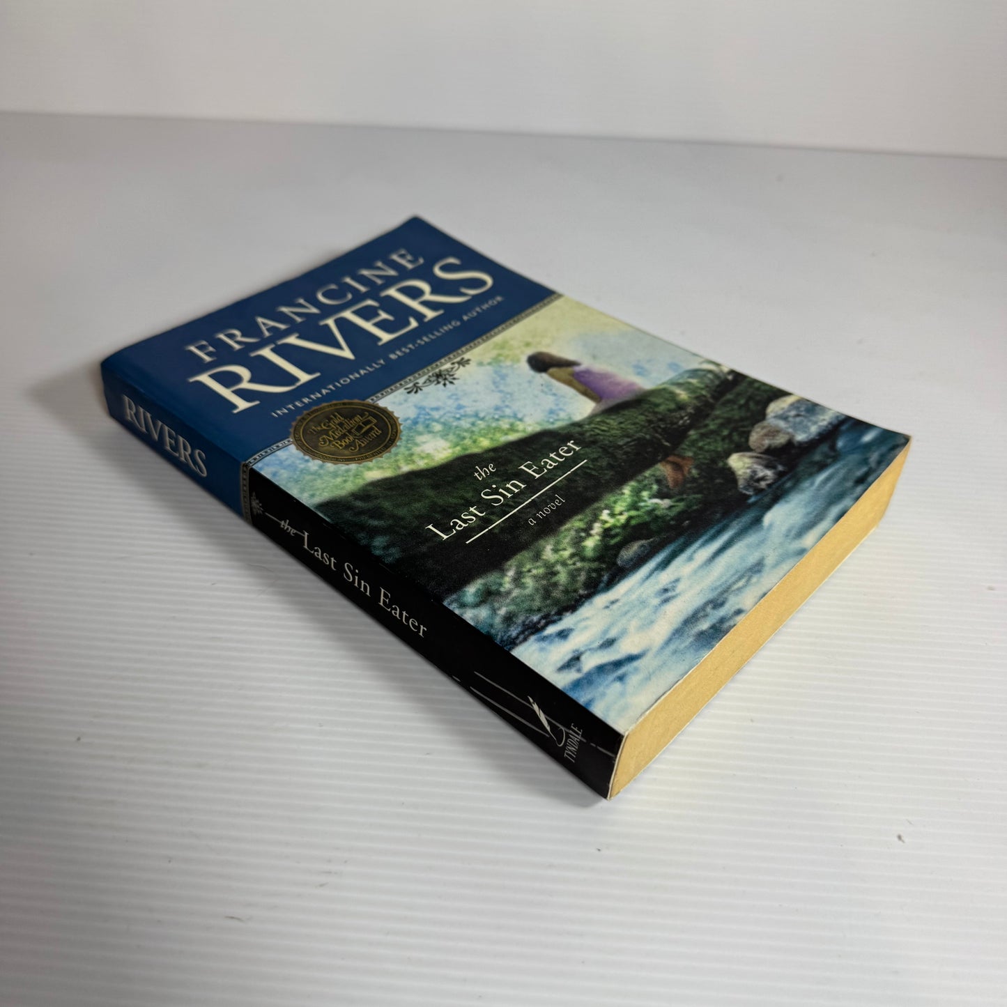 The Last Sin Eater - Francine Rivers