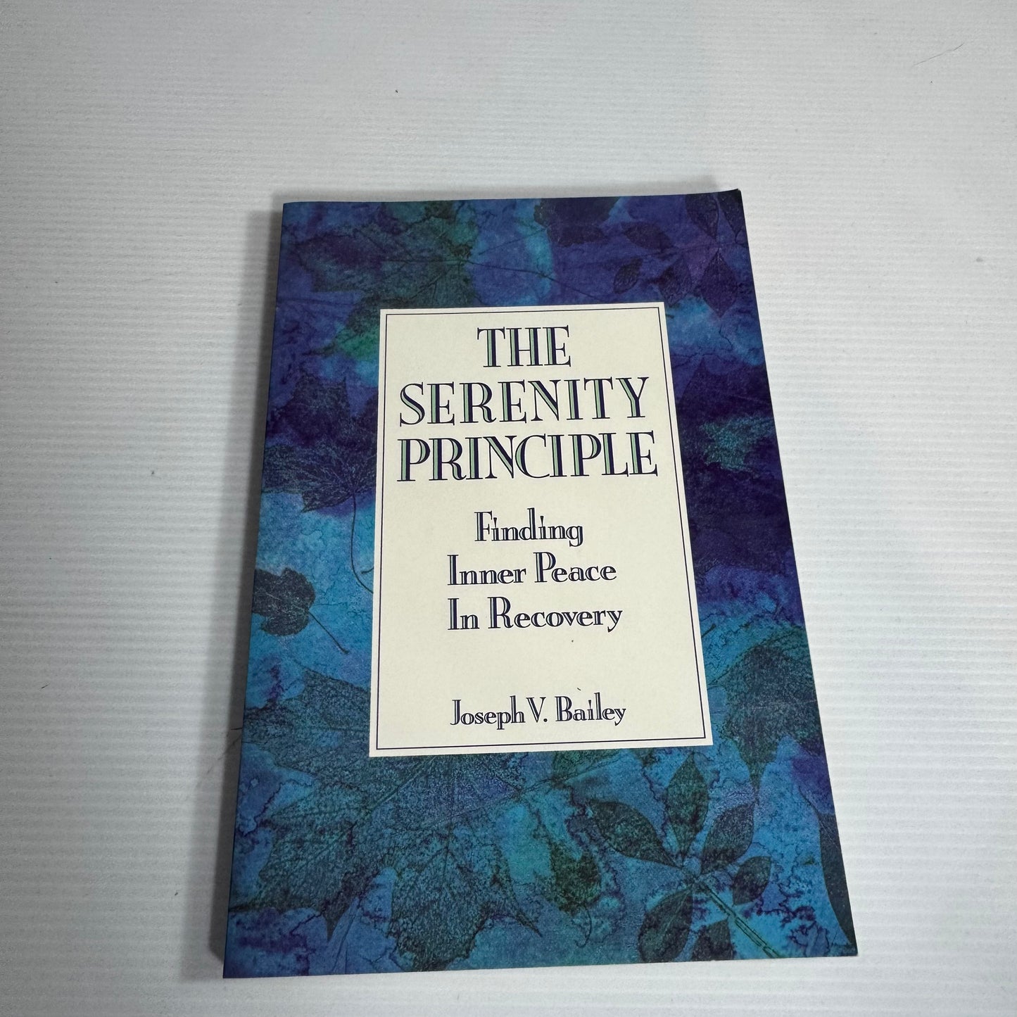 The Serenity Principle : Finding Inner Peace In Recovery - Joseph V. Bailey