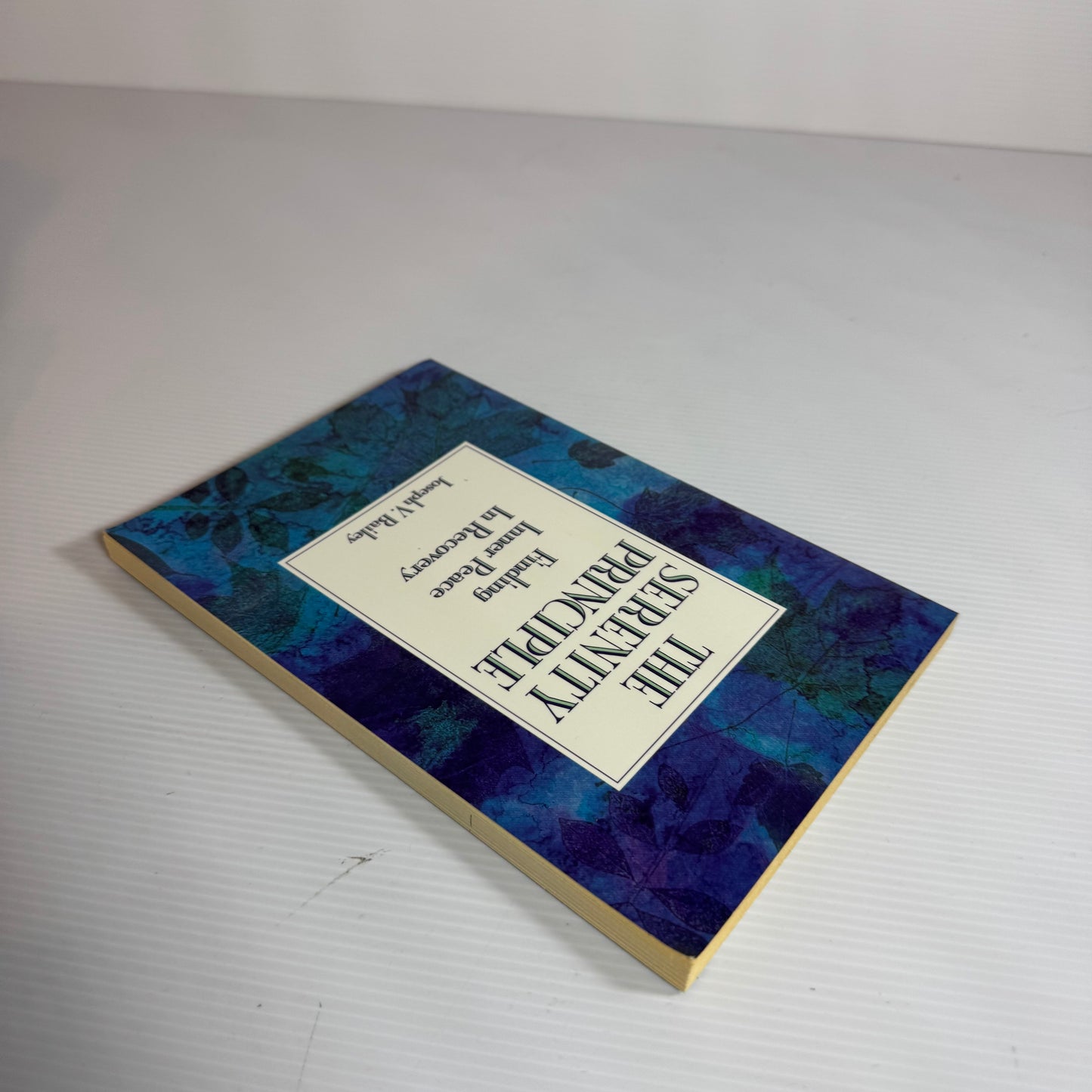 The Serenity Principle : Finding Inner Peace In Recovery - Joseph V. Bailey