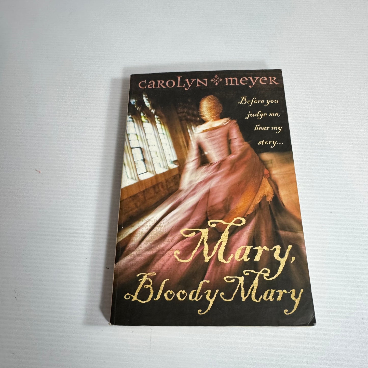 Mary, Bloody Mary - Carolyn Meyer
