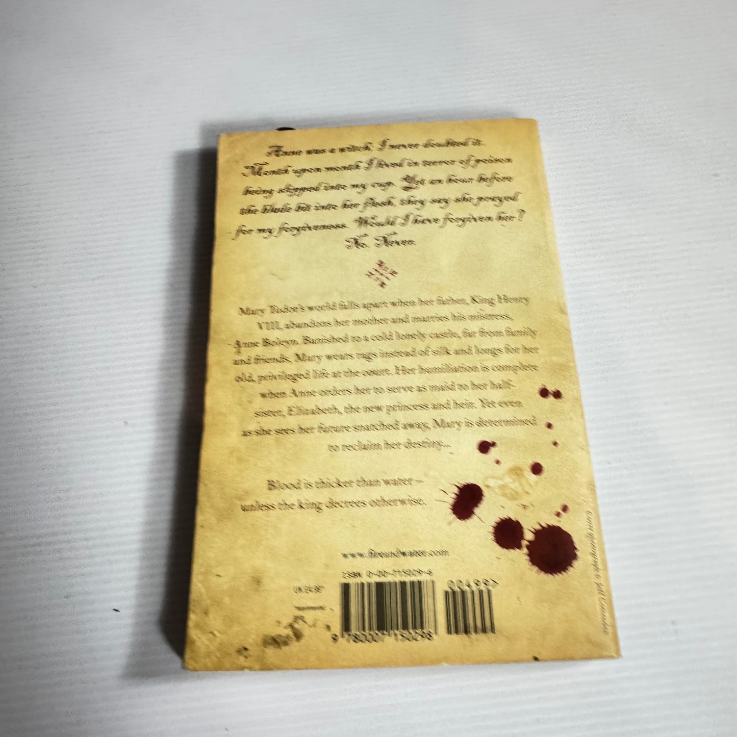 Mary, Bloody Mary - Carolyn Meyer