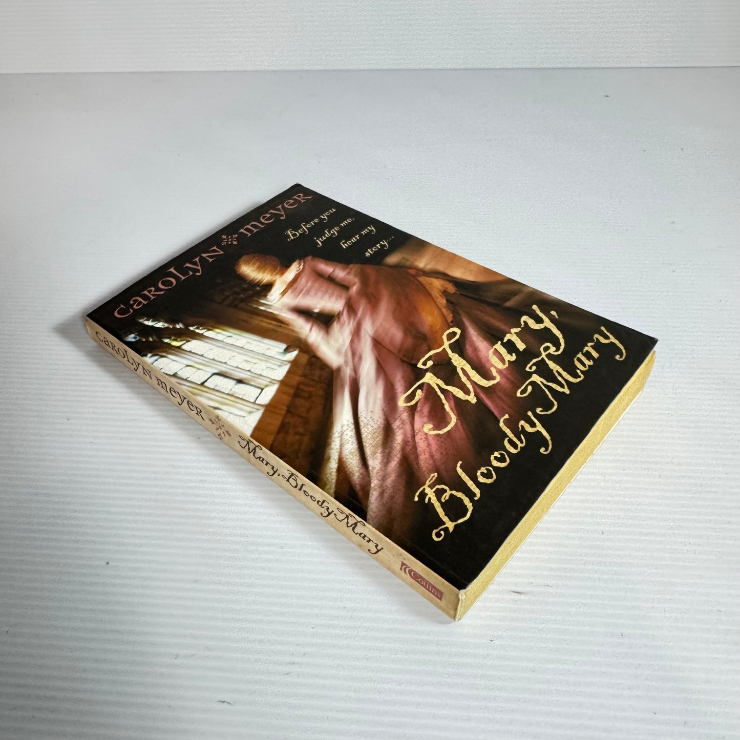Mary, Bloody Mary - Carolyn Meyer