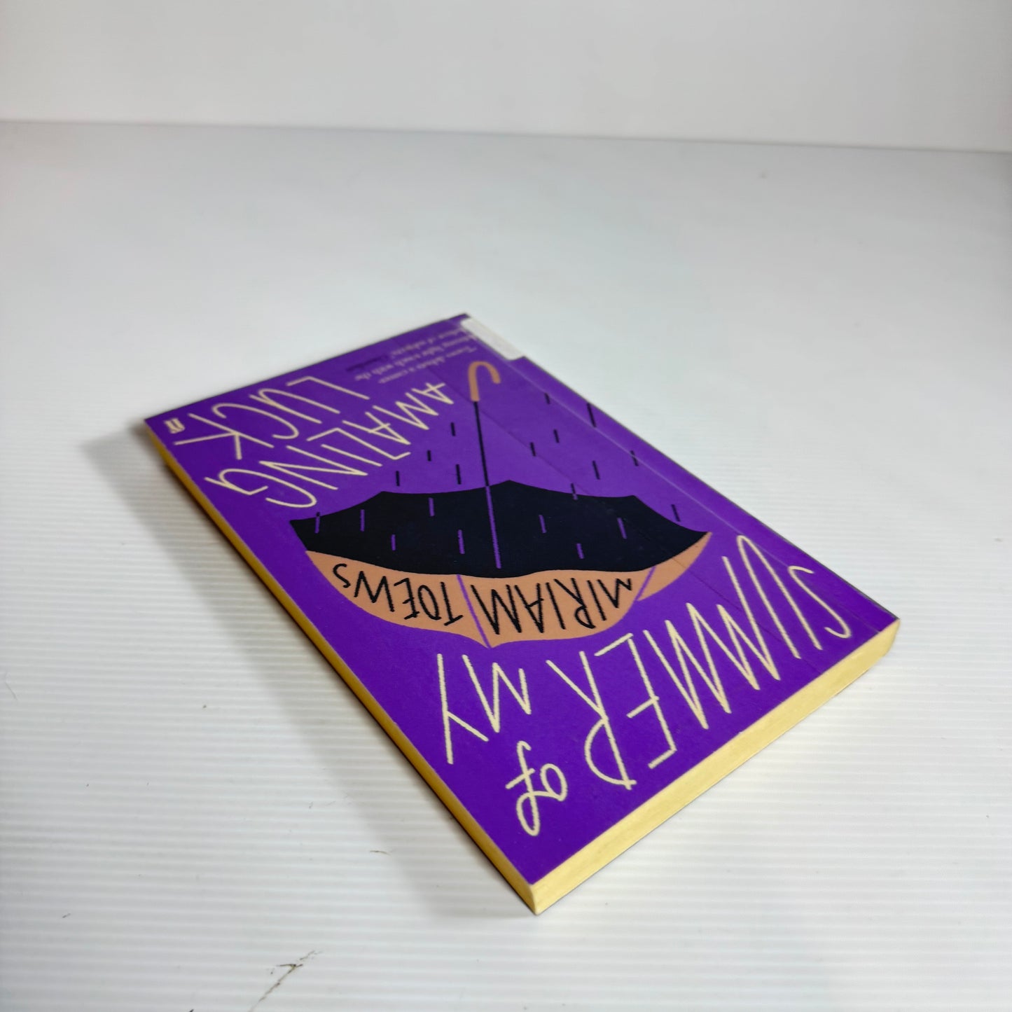 Summer of My Amazing Luck - Miriam Toews