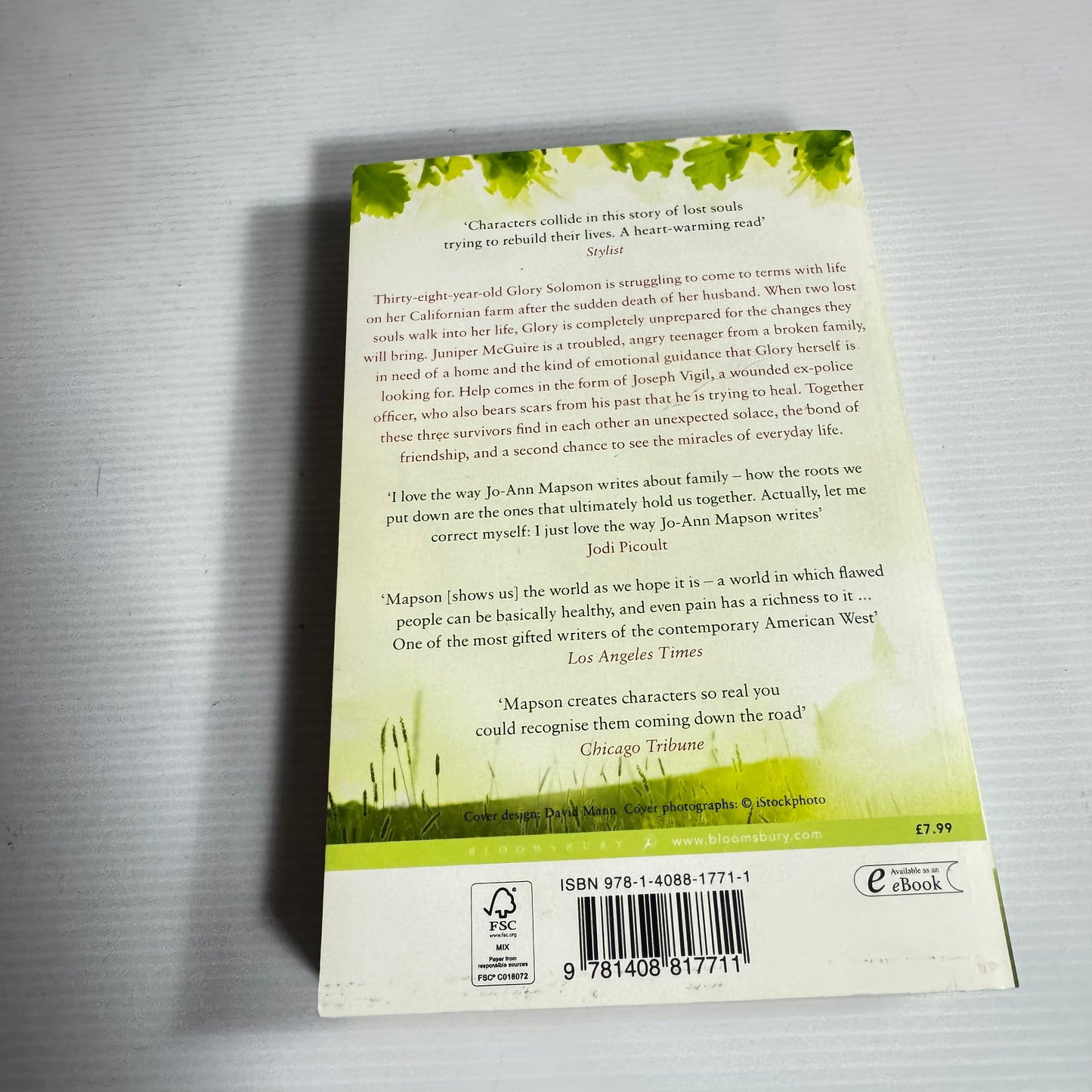 Solomon's Oak - Jo-Ann Mapson