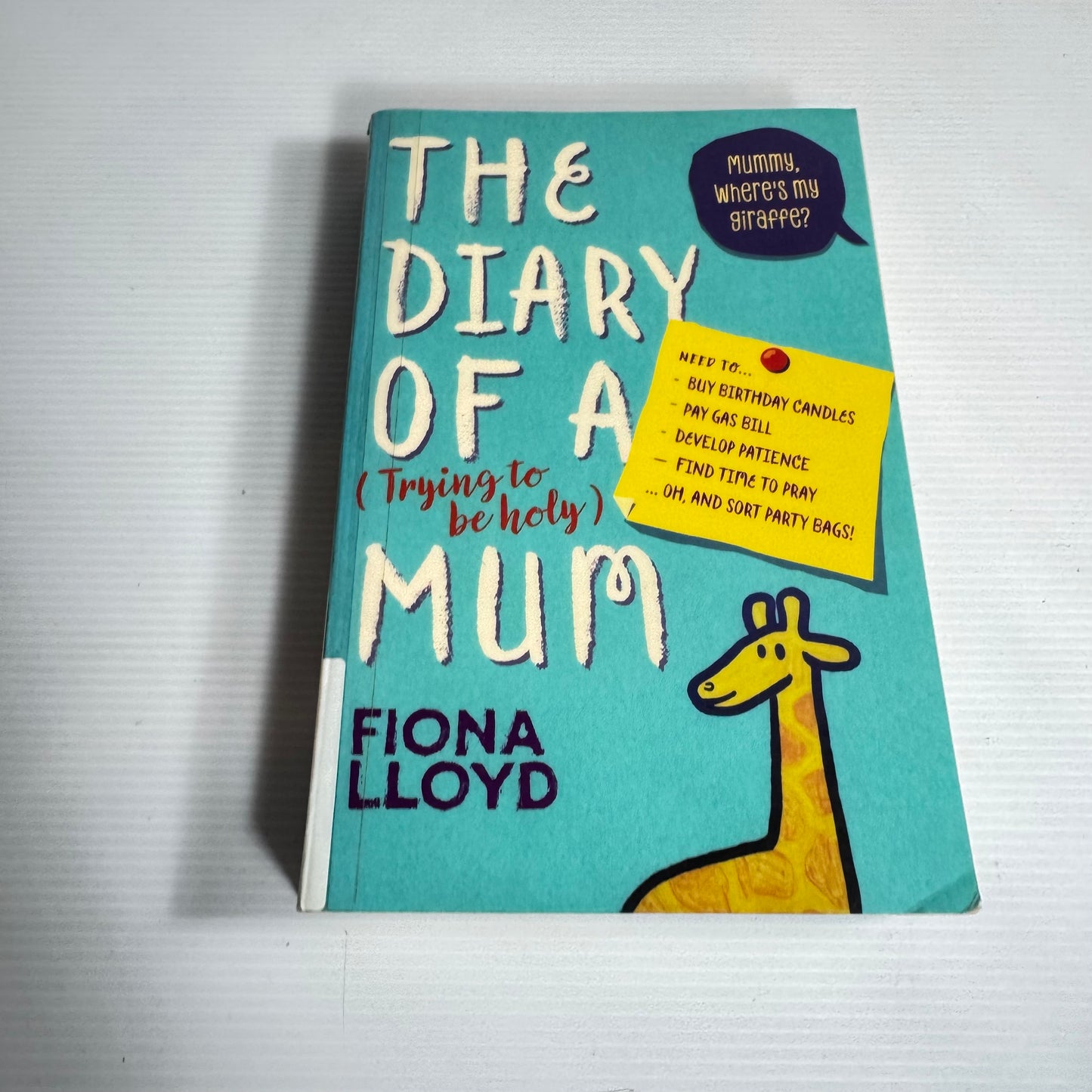 The Diary Of A (Trying To Be Holy) Mum - Fiona Lloyd