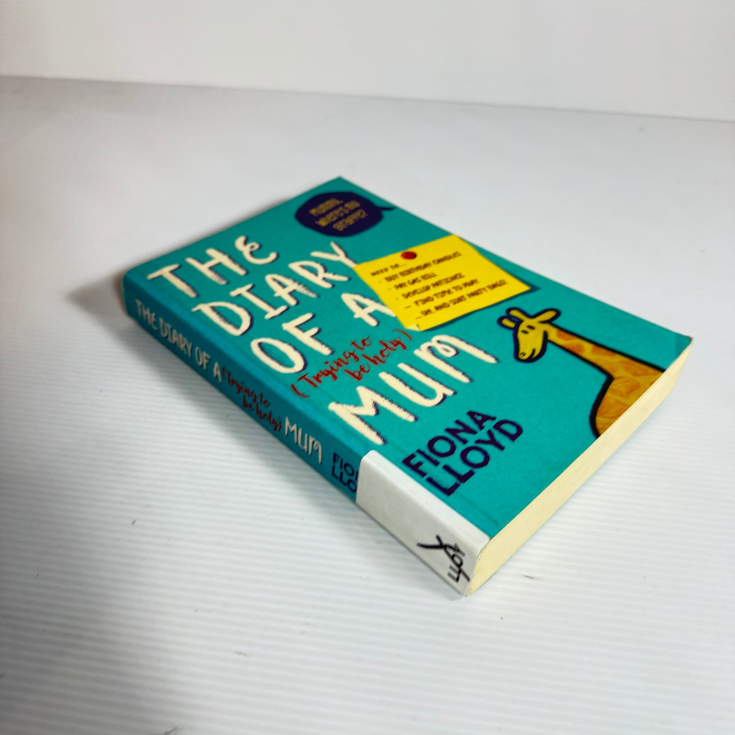 The Diary Of A (Trying To Be Holy) Mum - Fiona Lloyd