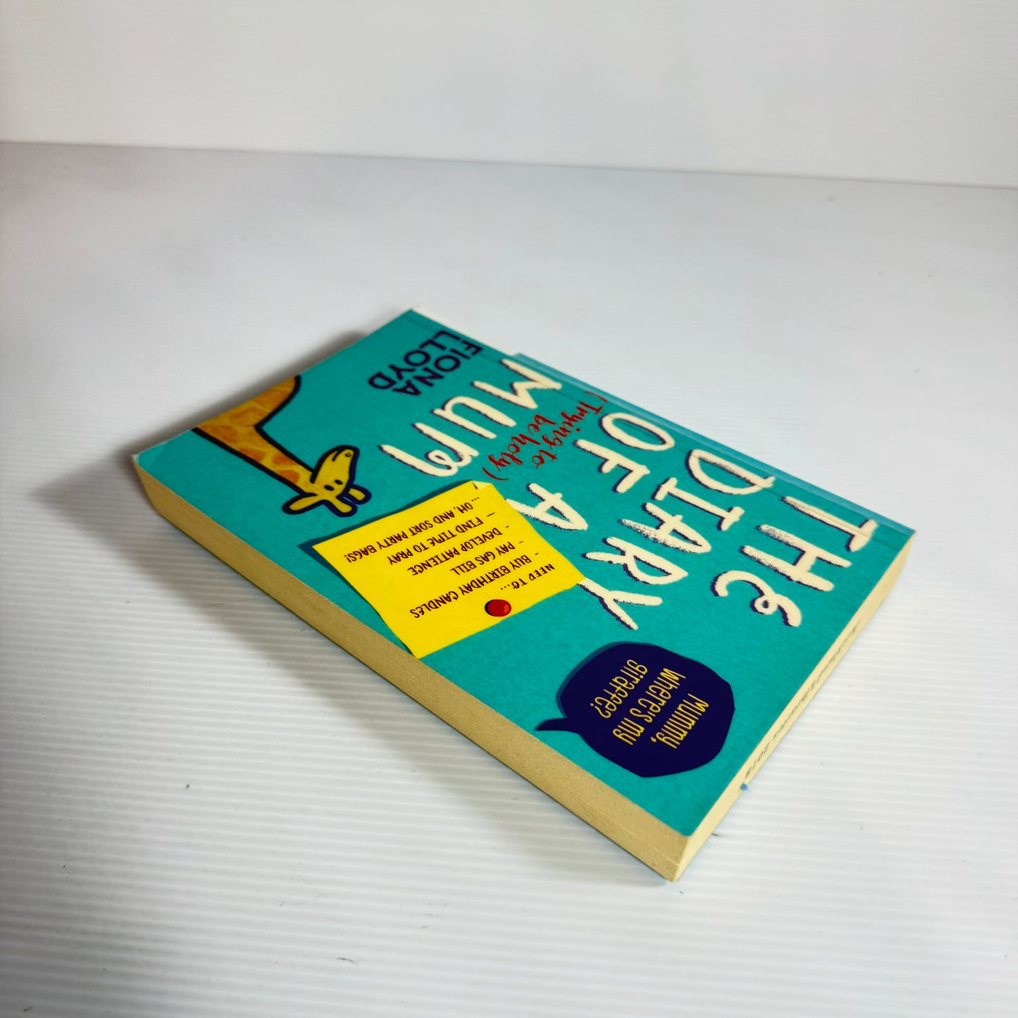 The Diary Of A (Trying To Be Holy) Mum - Fiona Lloyd