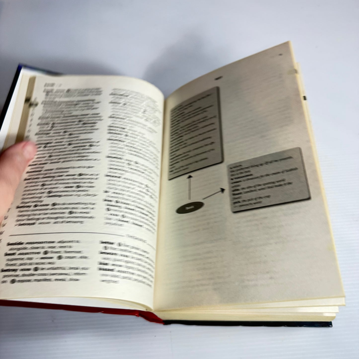Collins New Zealand School Dictionary & Thesaurus