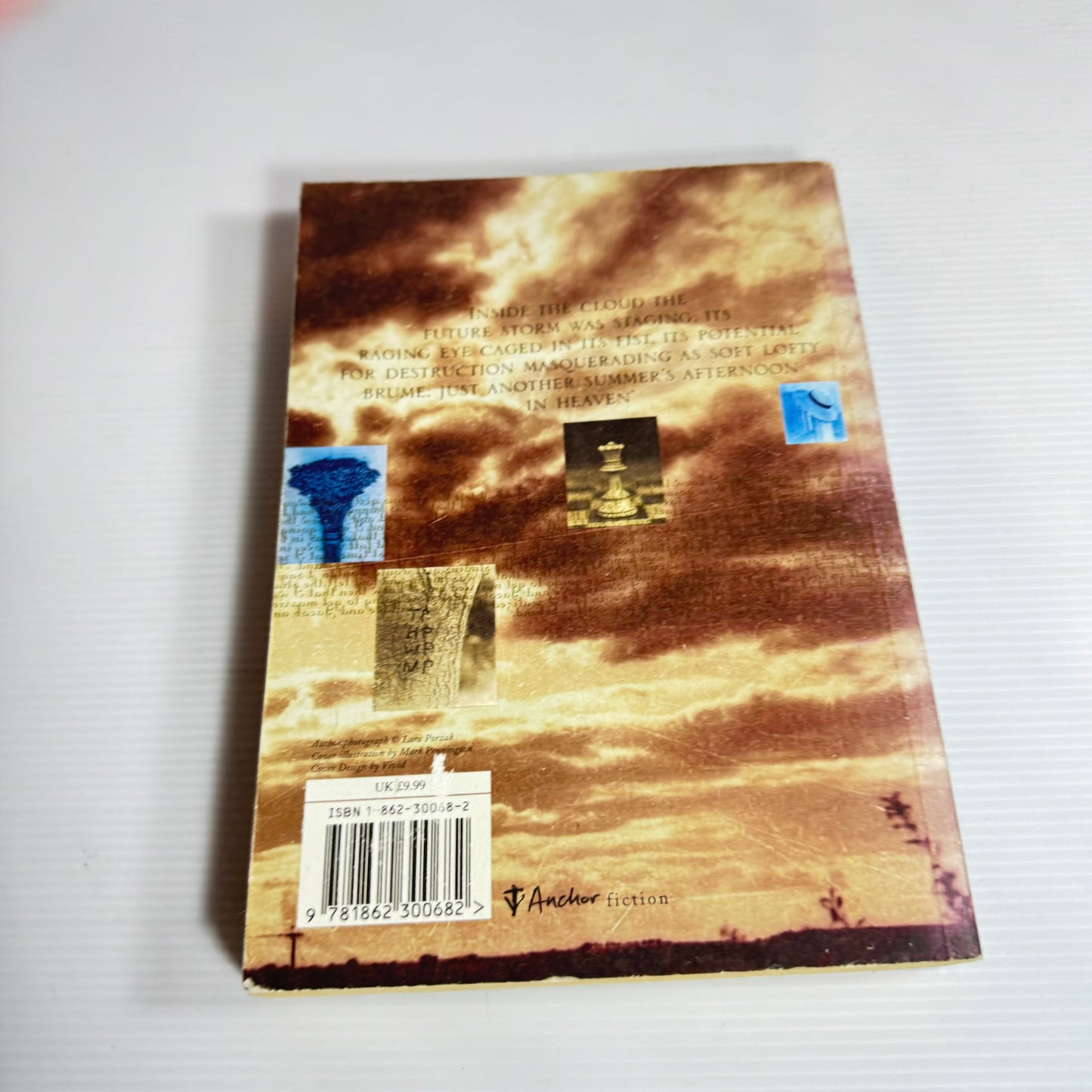 Almost Heaven - Marianne Wiggins