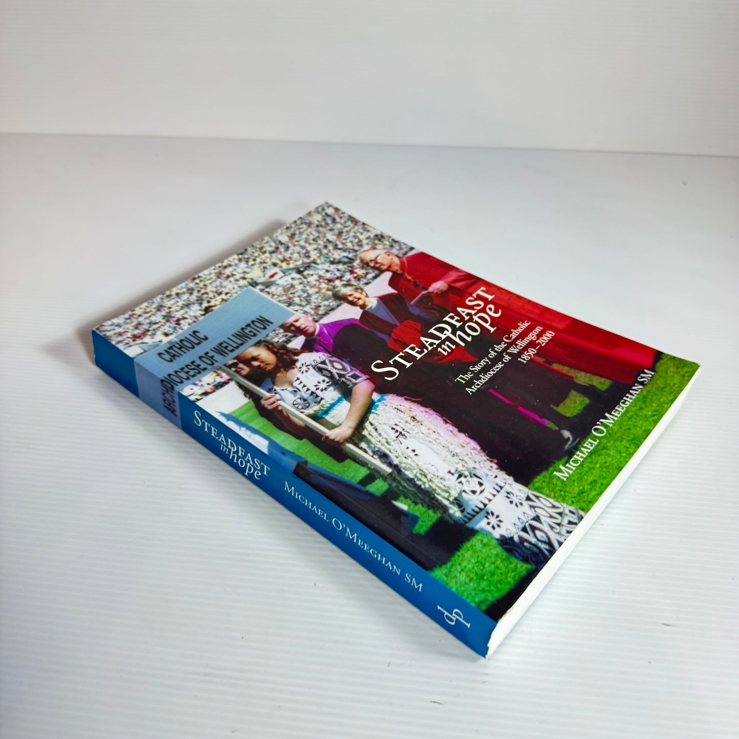 Steadfast in Hope : The Story of the Catholic Archdiocese of Wellington 1850-2000 - Michael O'Meeghan SM