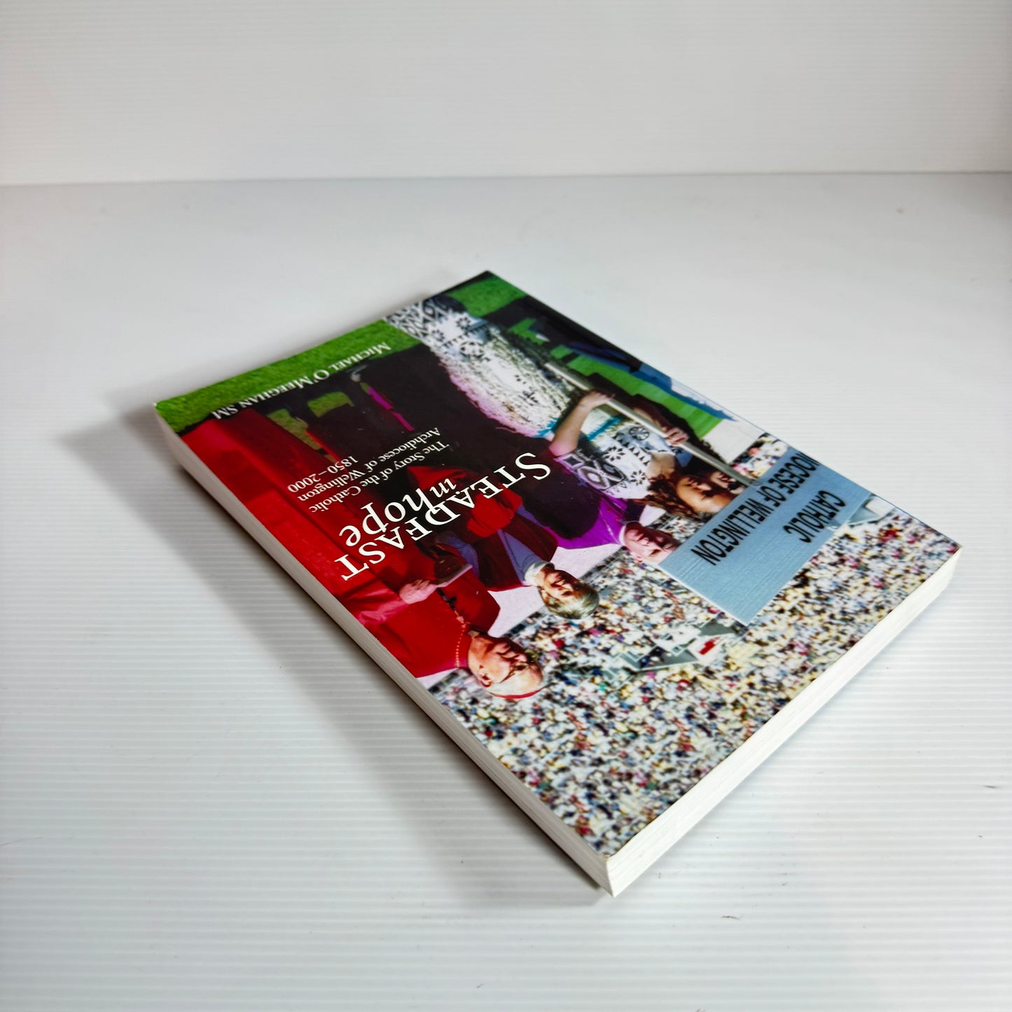 Steadfast in Hope : The Story of the Catholic Archdiocese of Wellington 1850-2000 - Michael O'Meeghan SM
