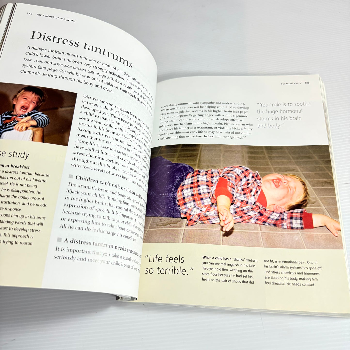 The Science of Parenting : How Today's Research Can Help You Raise Happy, Emotionally Balanced Children - Margot Sunderland