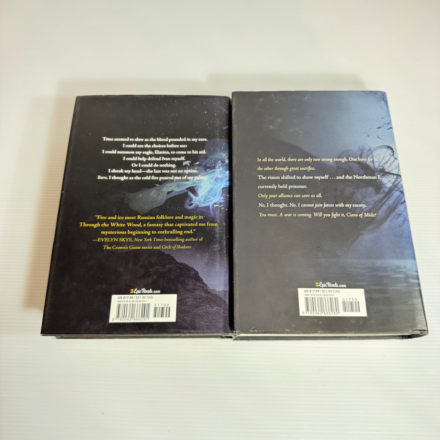 Jessica Leake Book Bundle x 2 : Beyond A Darkened Shore & Through The White Wood (3072)