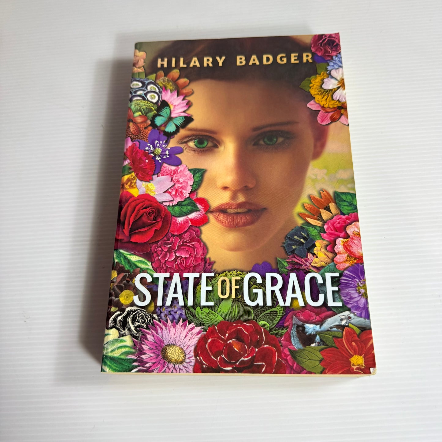 The State of Grace - Hilary Badger