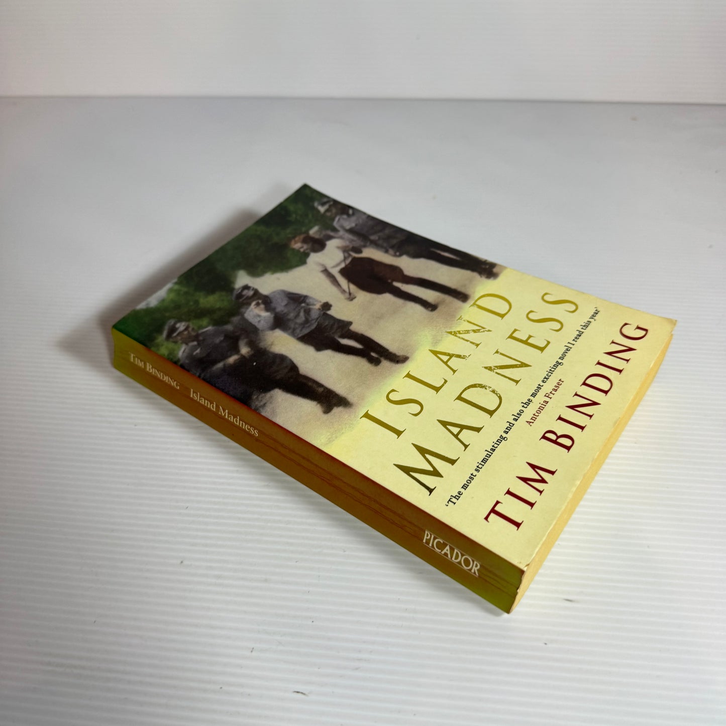 Island Madness - Tim Binding