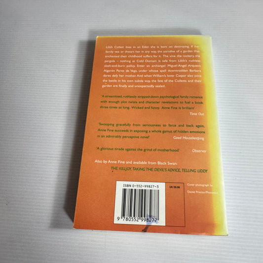 In Cold Domain - Anne Fine