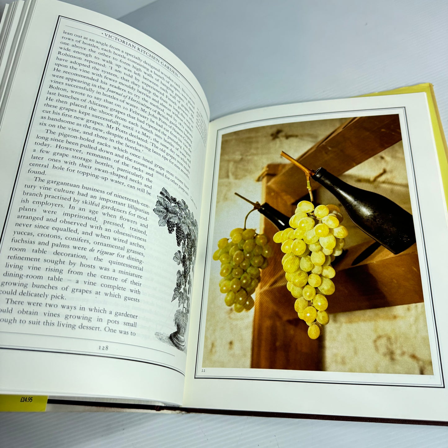 The Victorian Kitchen Garden - Jennifer Davies (Vintage 1990)