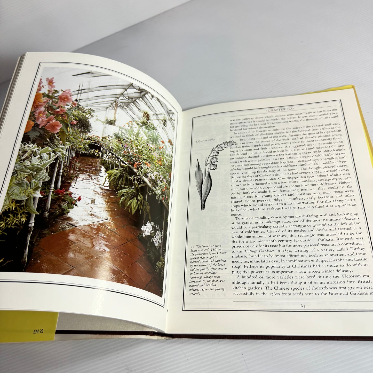 The Victorian Kitchen Garden - Jennifer Davies (Vintage 1990)