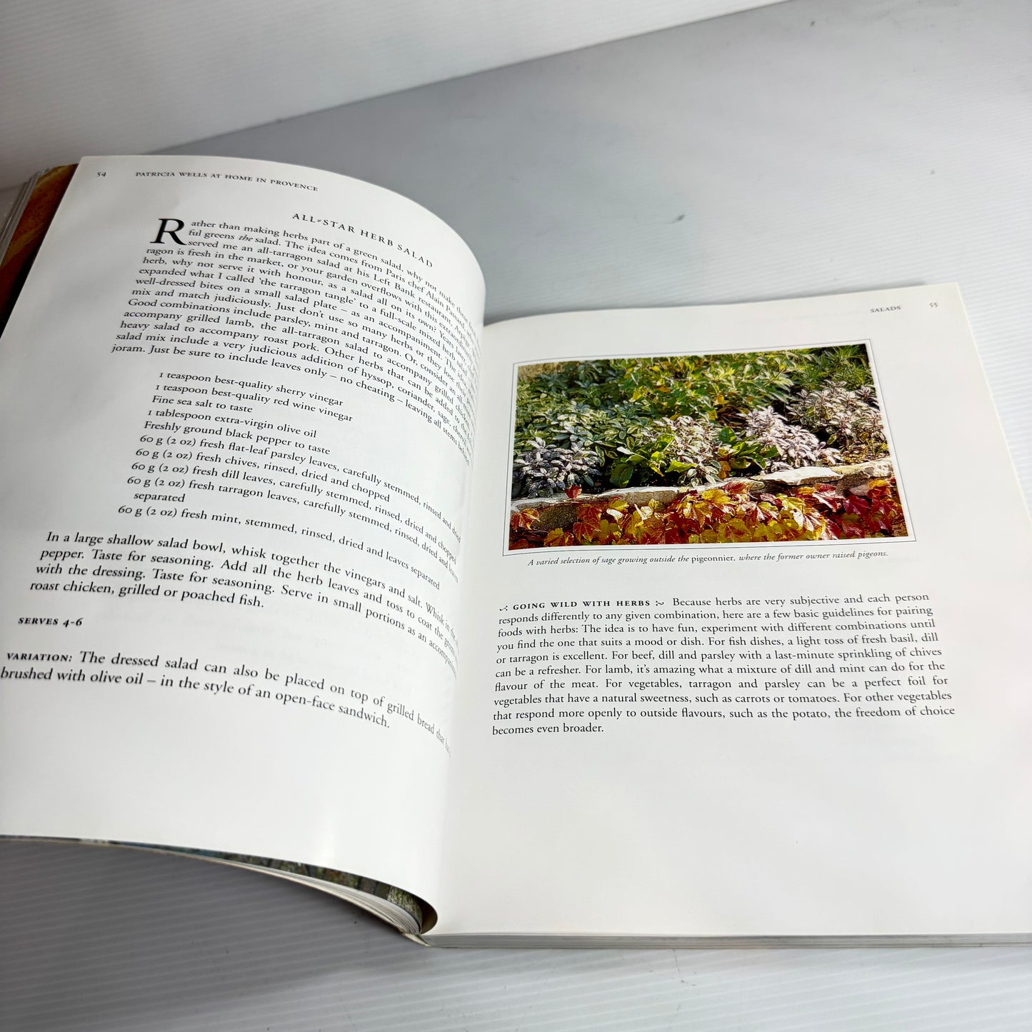 At Home In Provence - Patricia Wells (Vintage 1998)