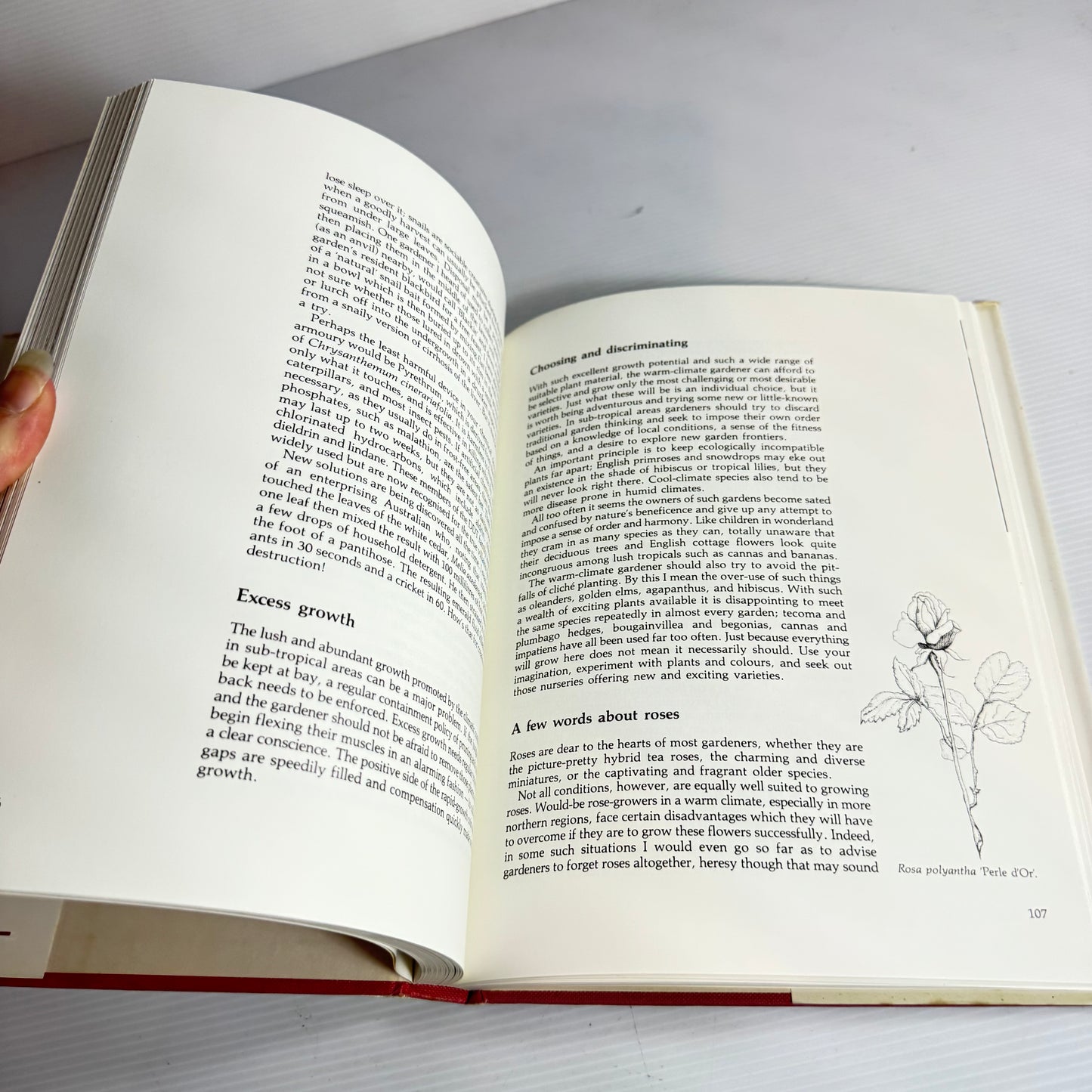 The Creative Gardener - Kerry Carman