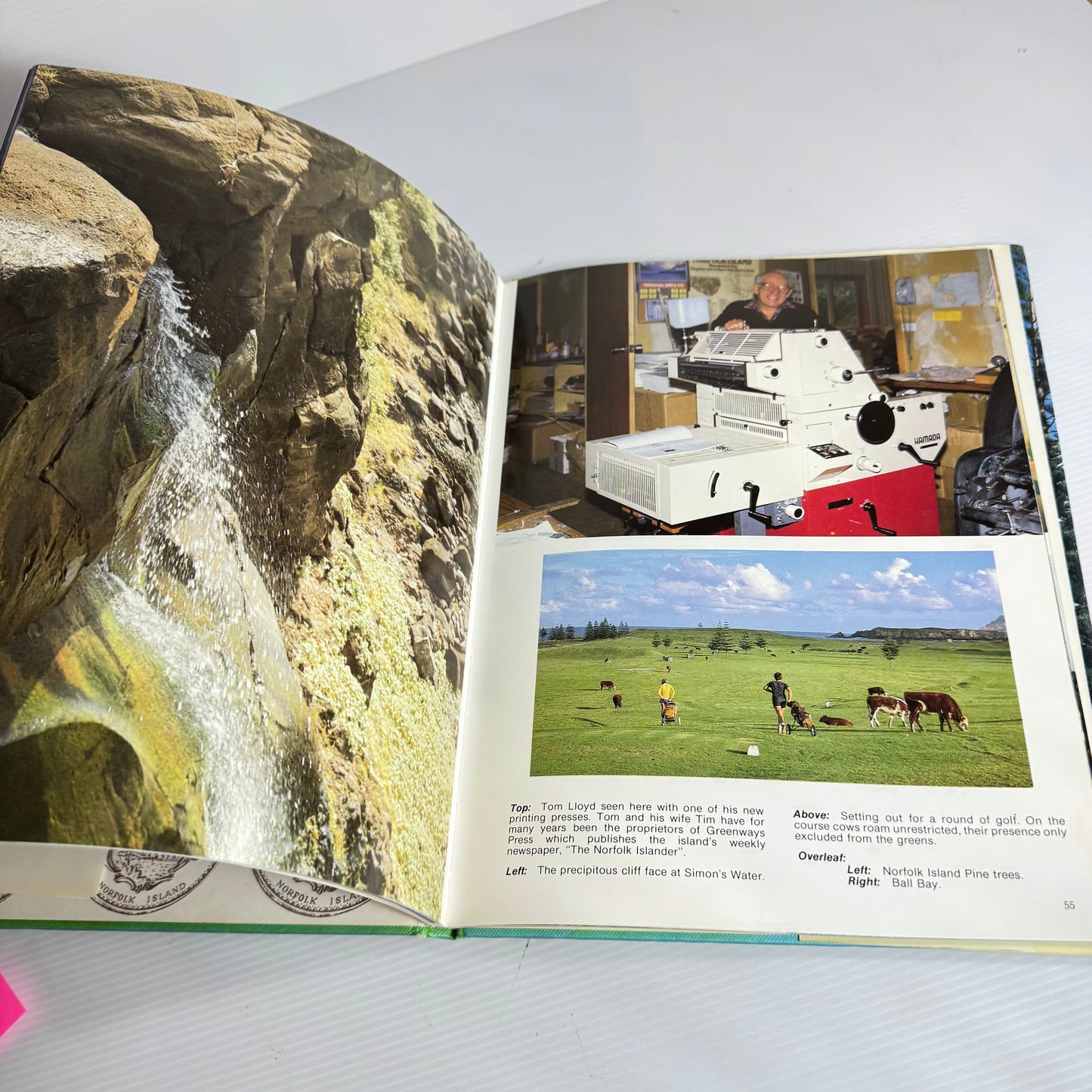 The Norfolk Island Book - R. S. Hillier