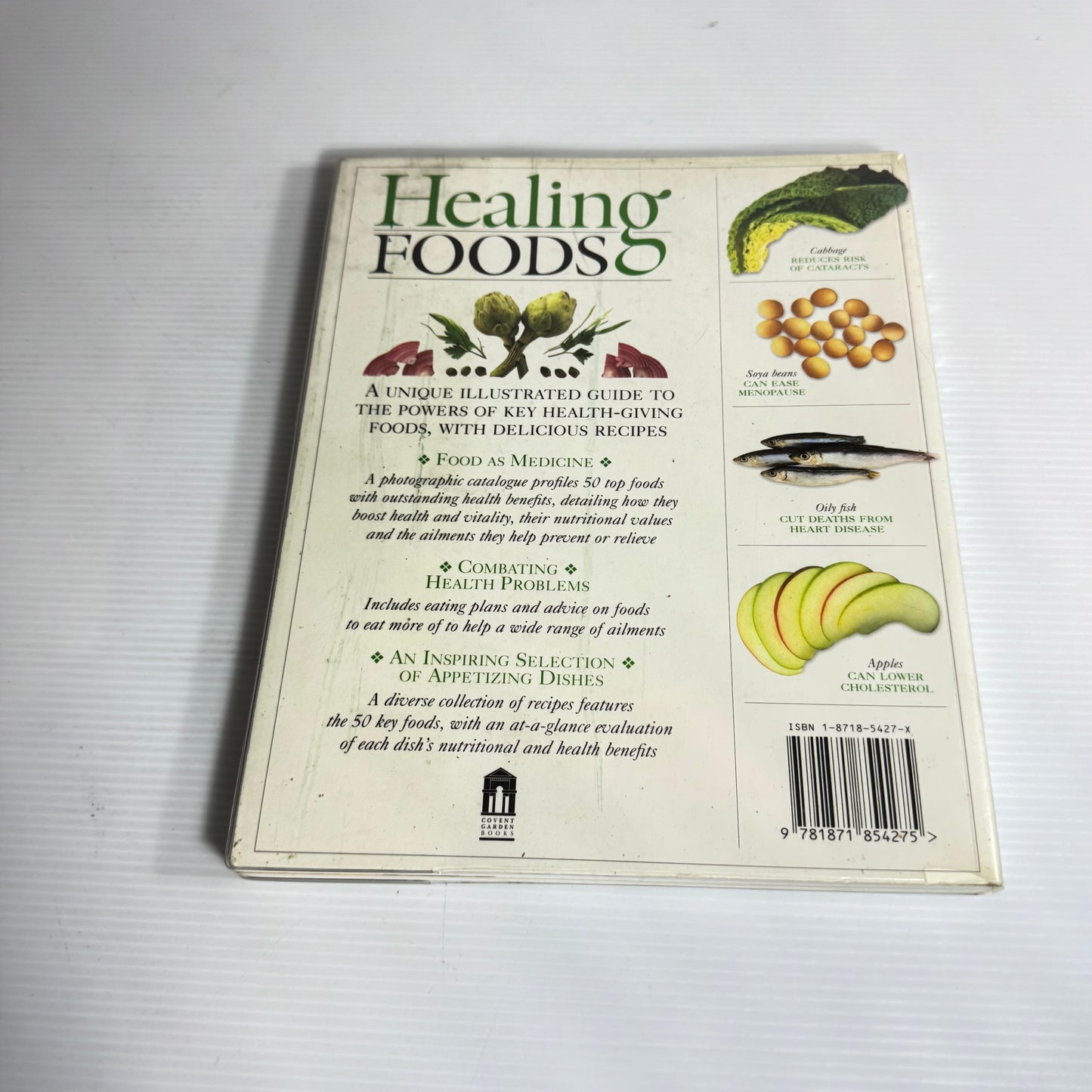 Healing Foods : A Practical Guide to Key Foods for Good Health - Miriam Polunin