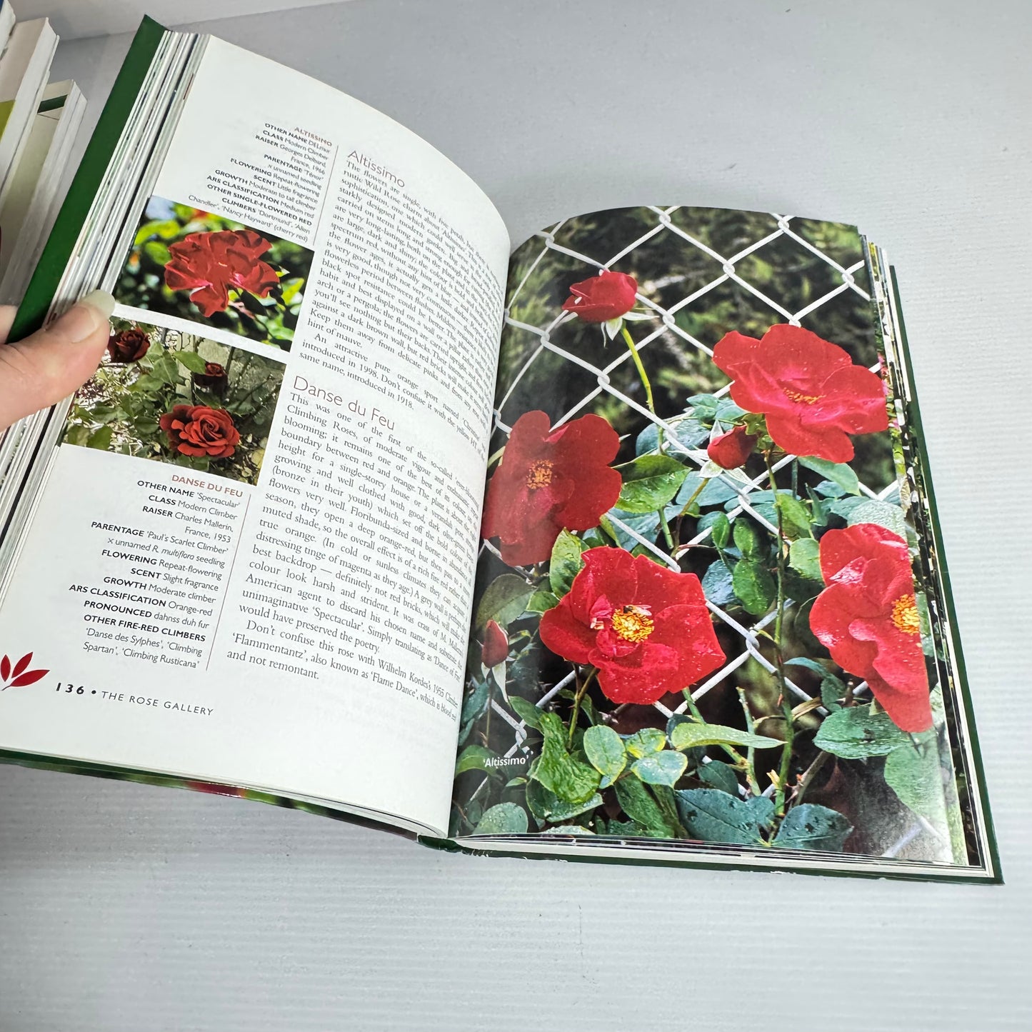 Yates Roses : A Practical Guide to Over 300 Roses for Australian and New Zealand - Roger Mann