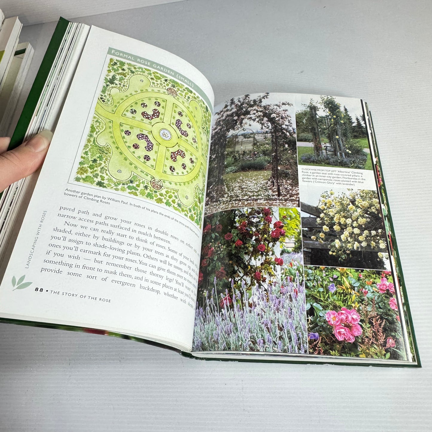 Yates Roses : A Practical Guide to Over 300 Roses for Australian and New Zealand - Roger Mann