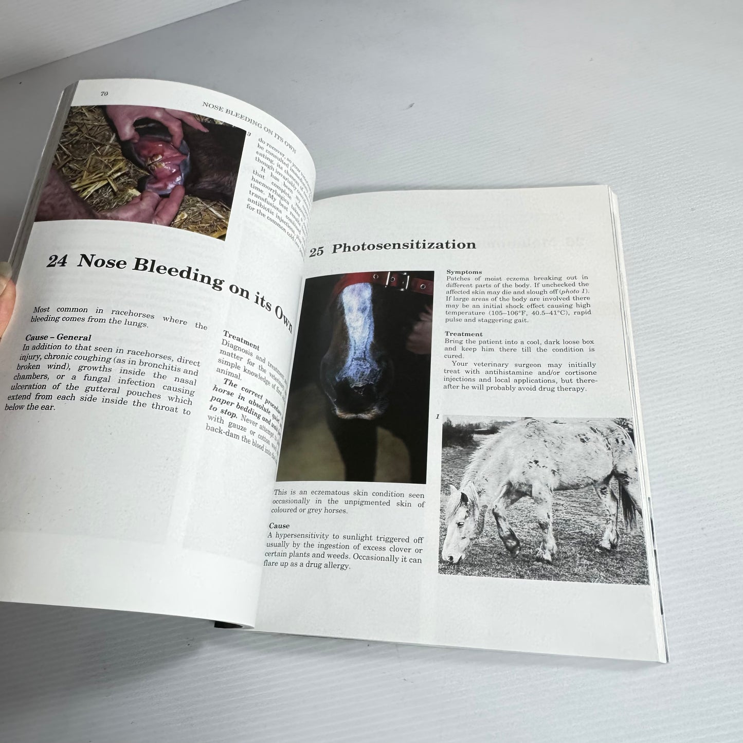 Horse and Pony Ailments : Recognition and Treatment - Eddie Straiton
