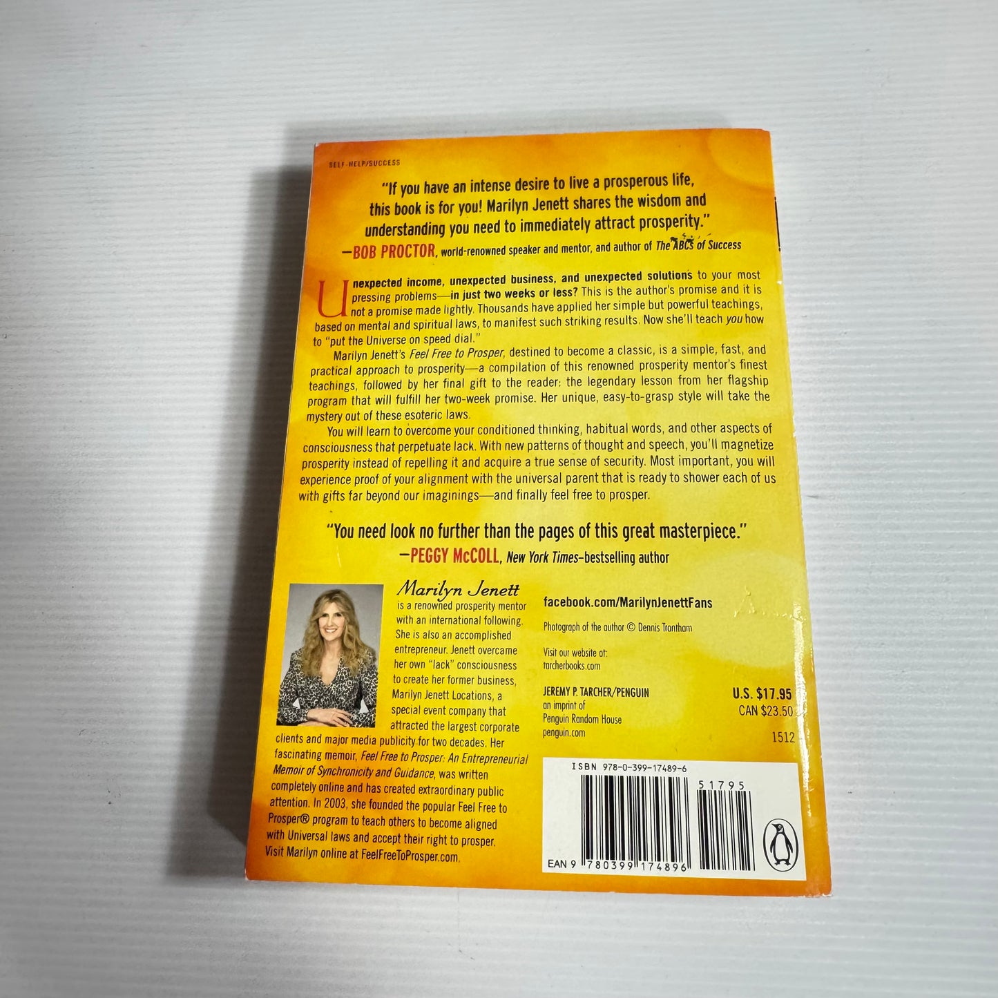 Feel Free to Prosper with the Simplest Prosperity Laws Available - Marilyn Jenett