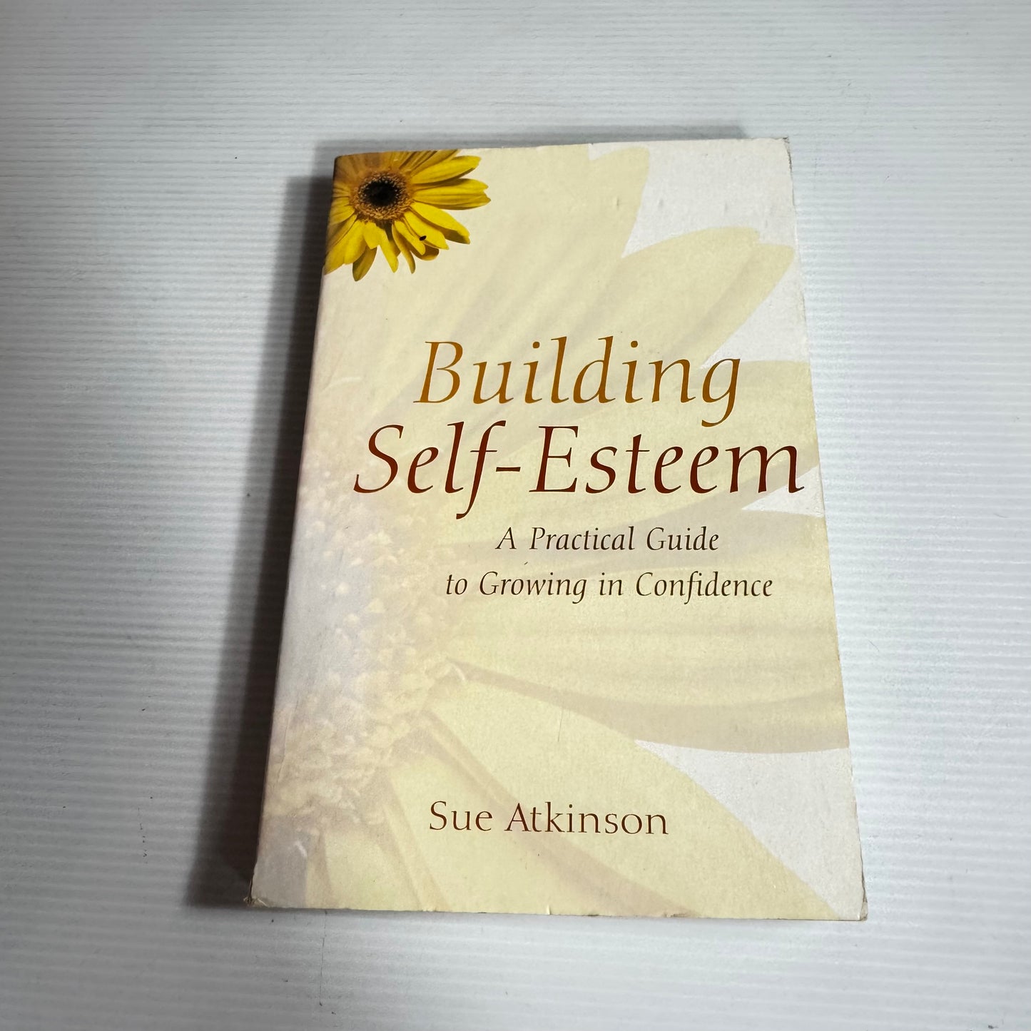 Building Self-Esteem : A Practical Guide to Growing in Confidence - Sue Atkinson