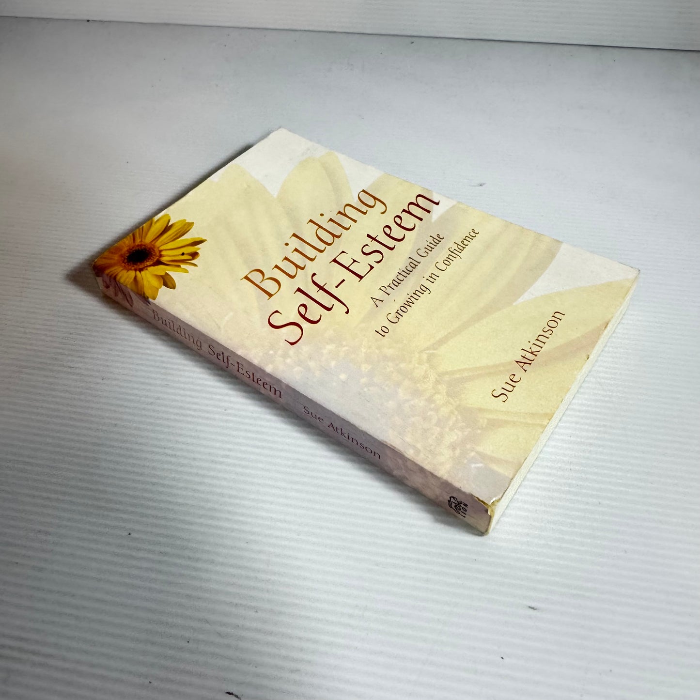 Building Self-Esteem : A Practical Guide to Growing in Confidence - Sue Atkinson
